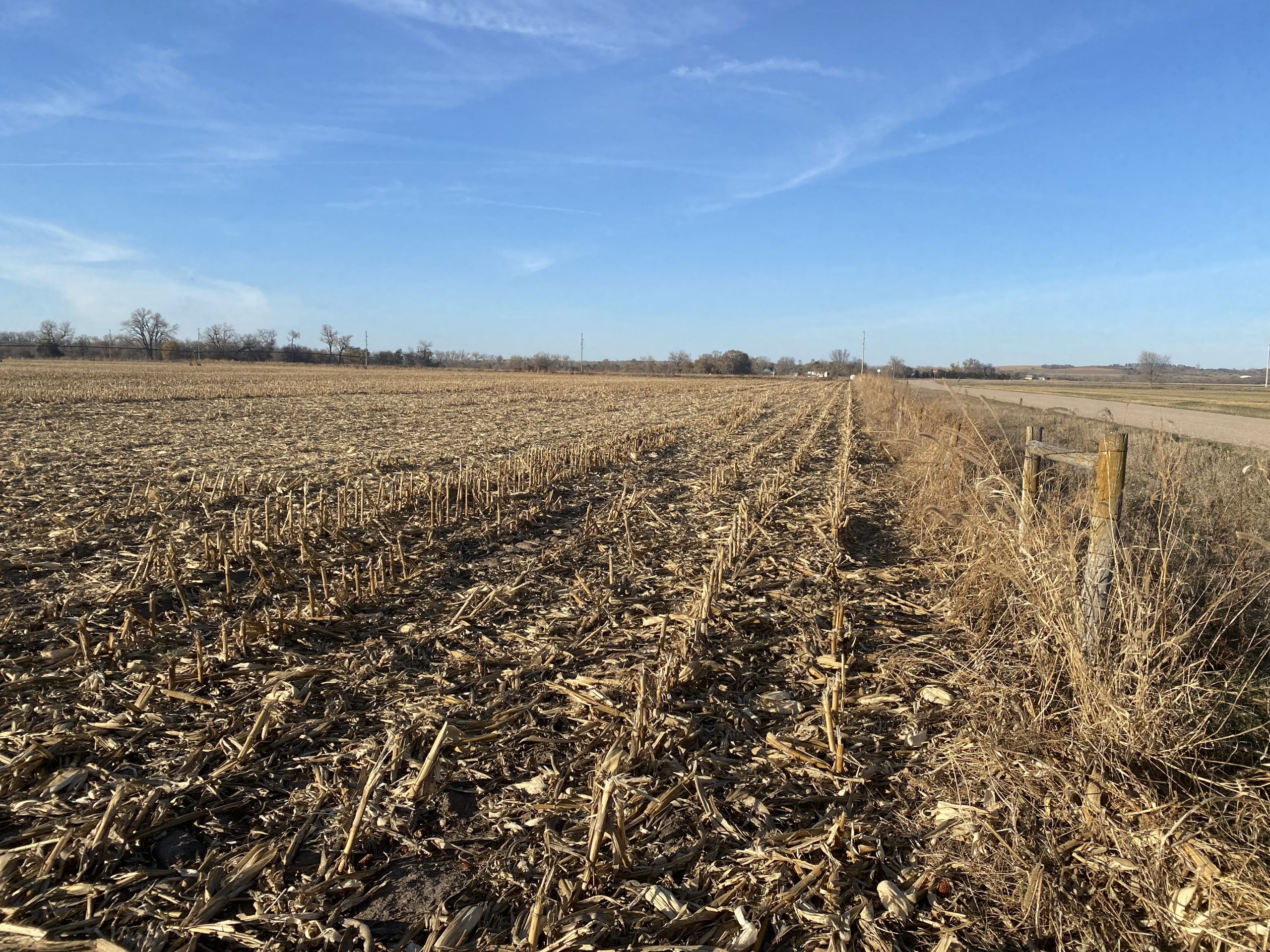 Absolute Auction Live & Online, 110+ Irrigated & Grass Acres East of