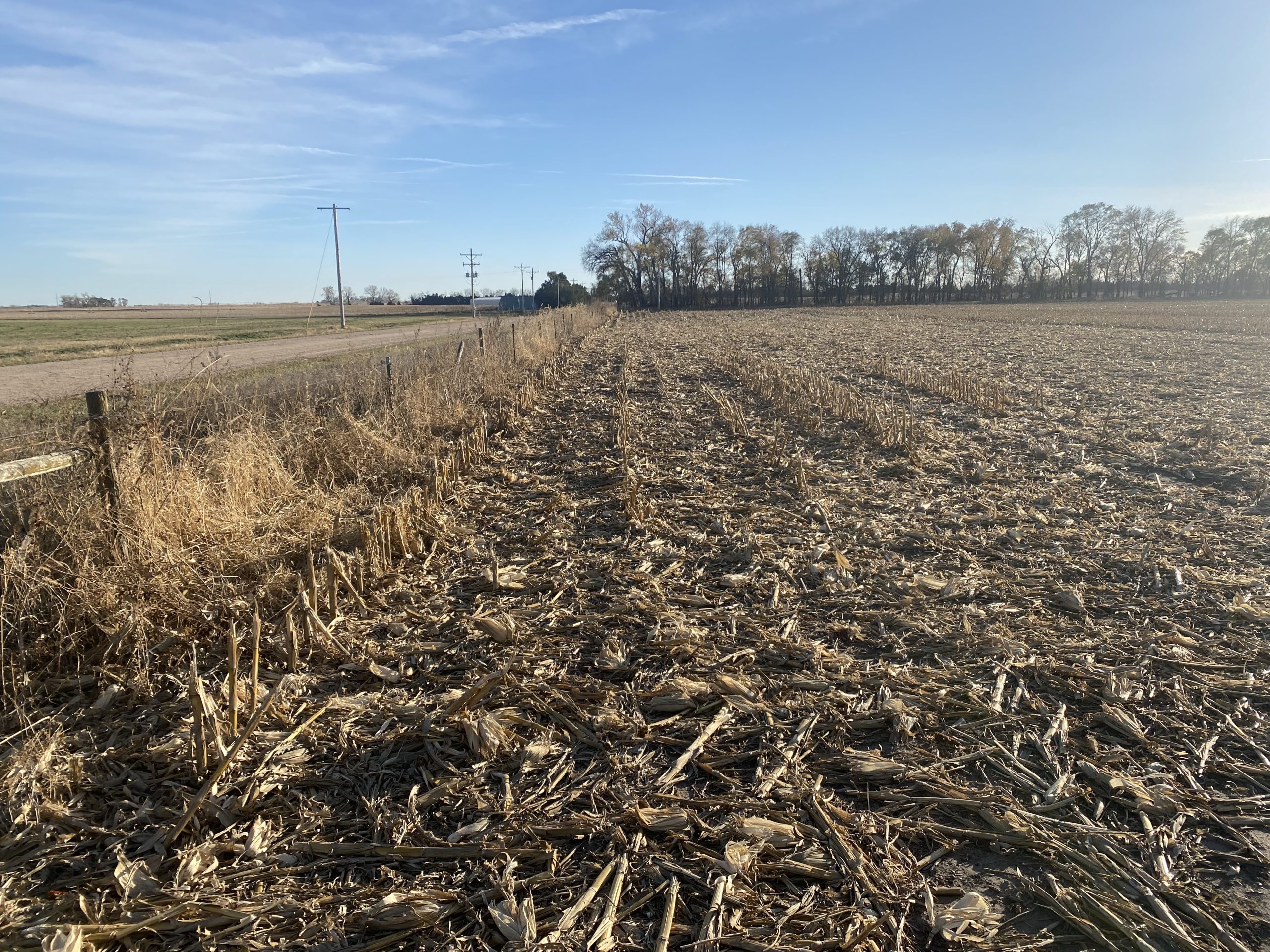 Absolute Auction Live & Online, 110+ Irrigated & Grass Acres East of