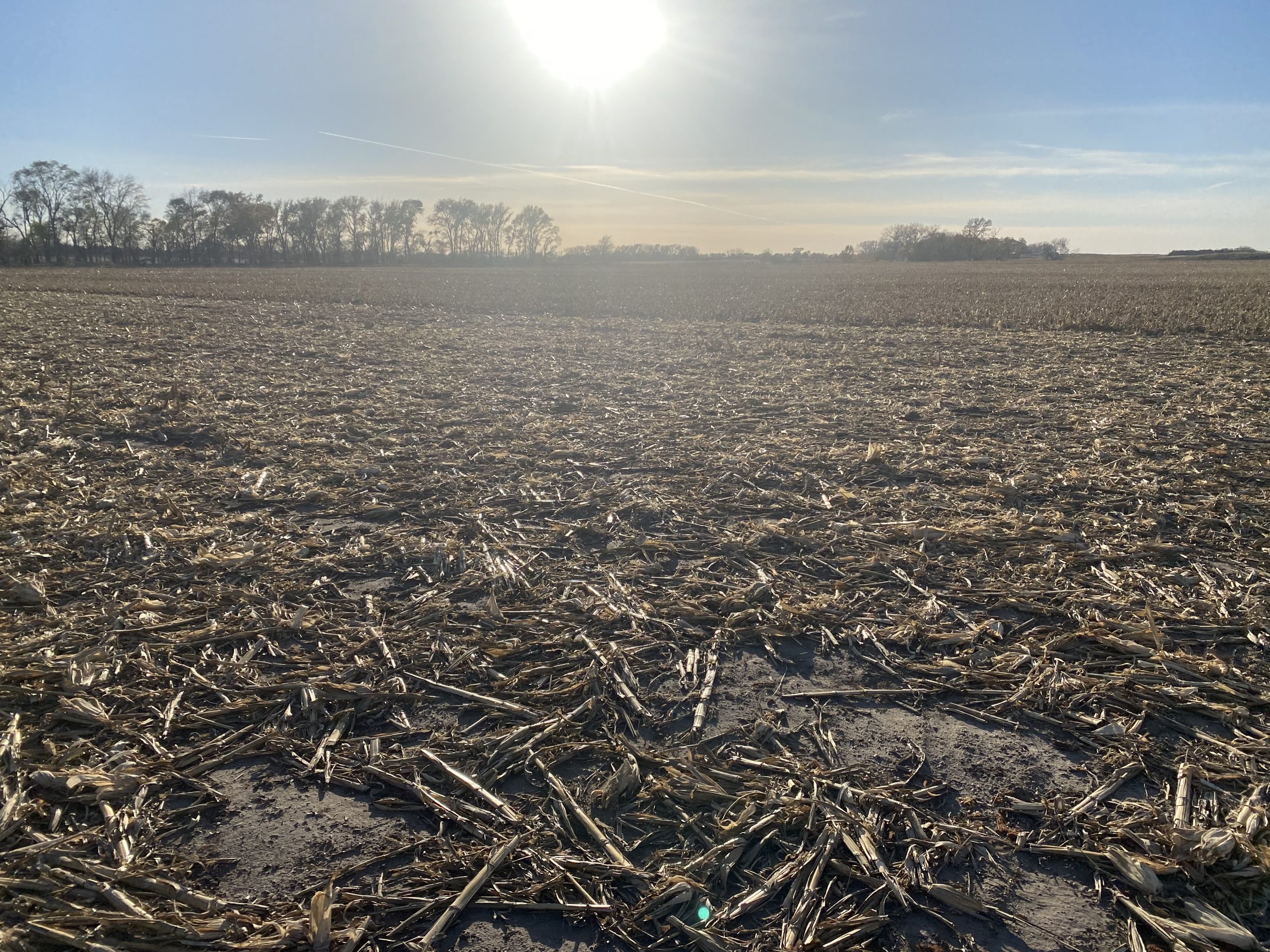 Absolute Auction Live & Online, 110+ Irrigated & Grass Acres East of