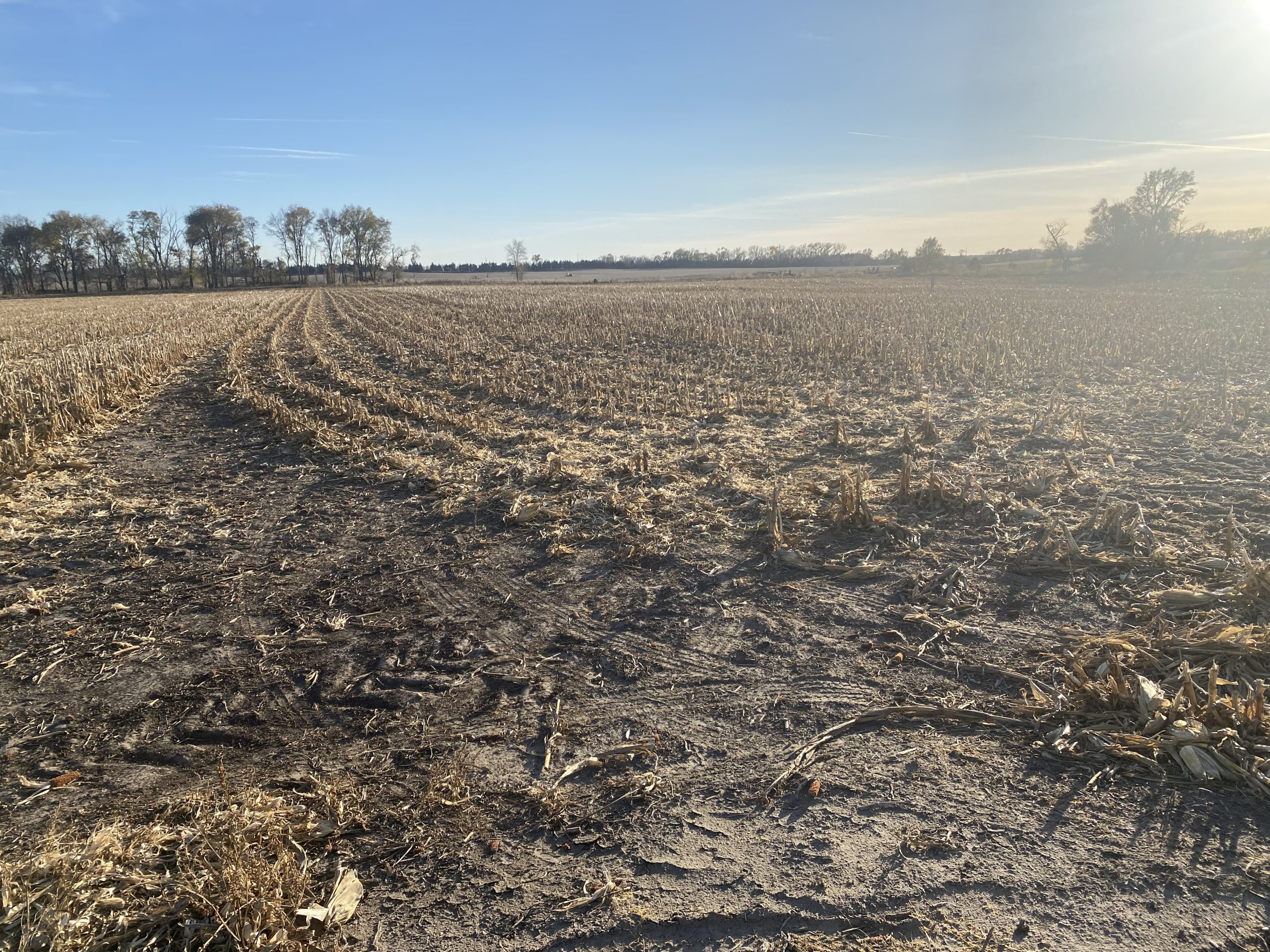 Absolute Auction Live & Online, 110+ Irrigated & Grass Acres East of