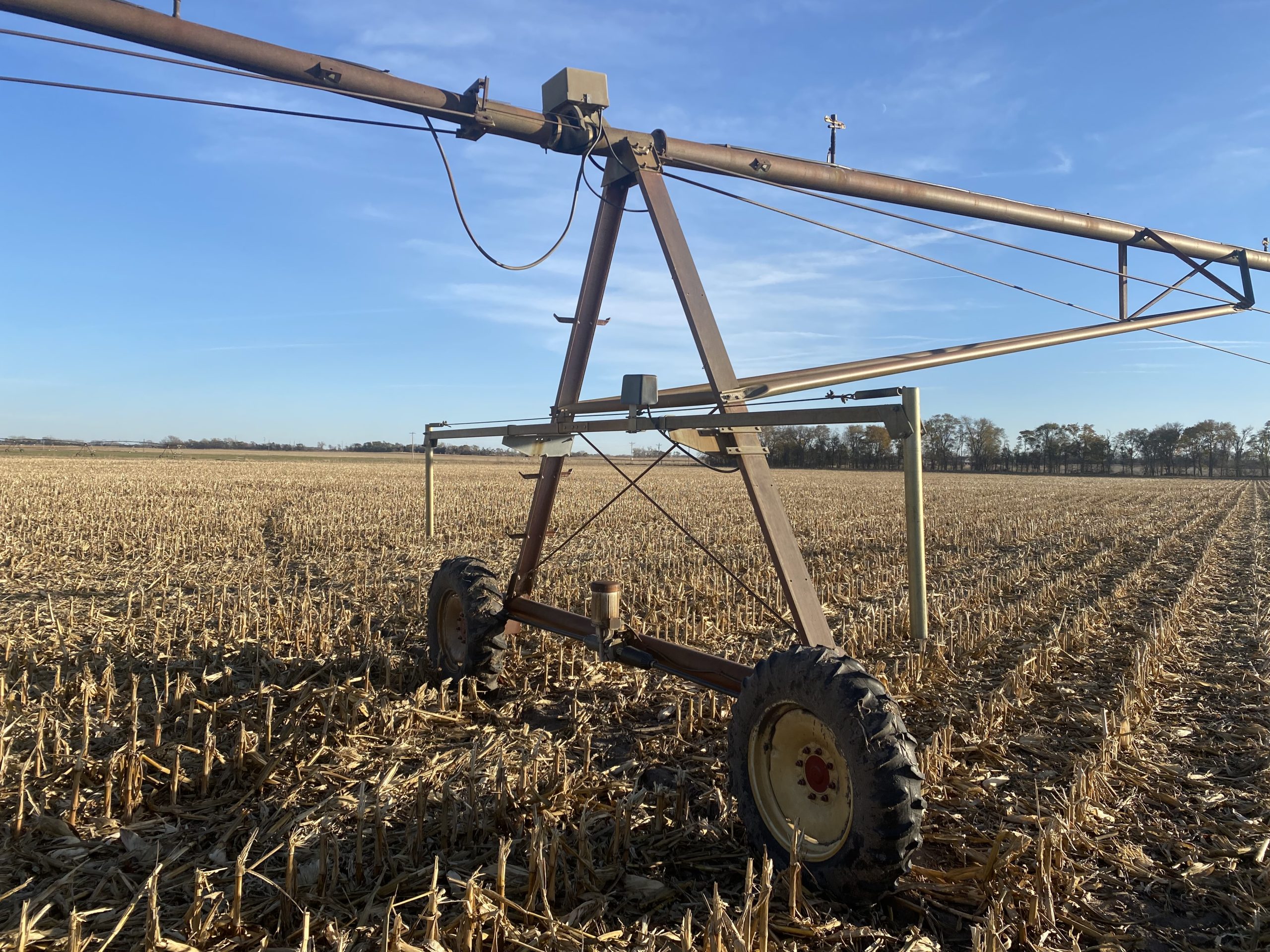 Absolute Auction Live & Online, 110+ Irrigated & Grass Acres East of