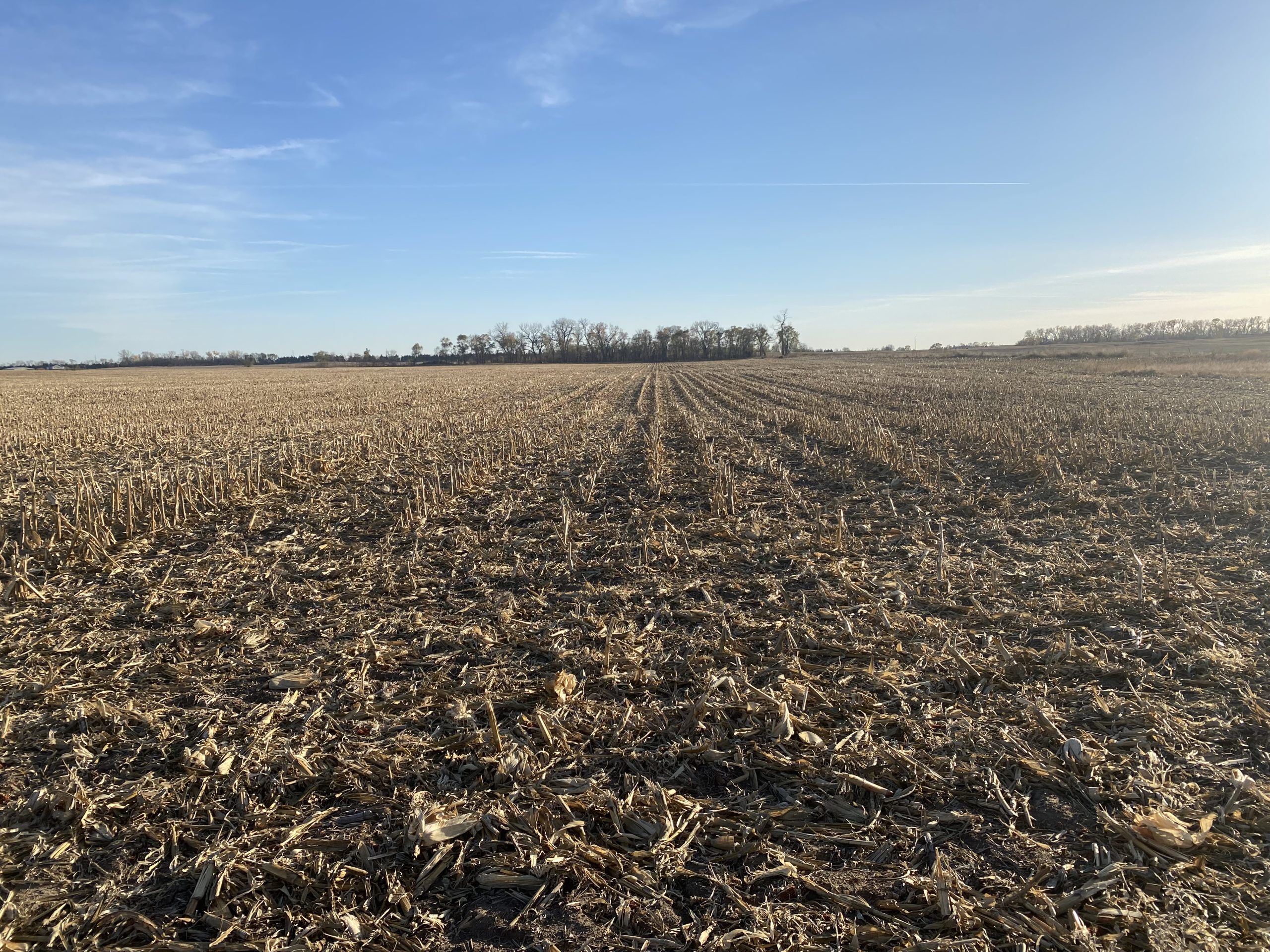 Absolute Auction Live & Online, 110+ Irrigated & Grass Acres East of