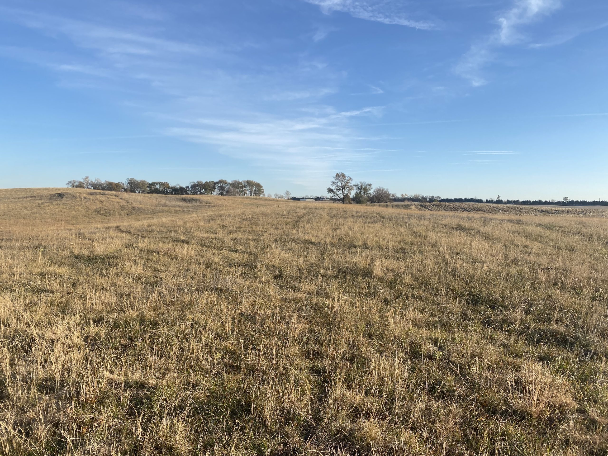 Absolute Auction Live & Online, 110+ Irrigated & Grass Acres East of