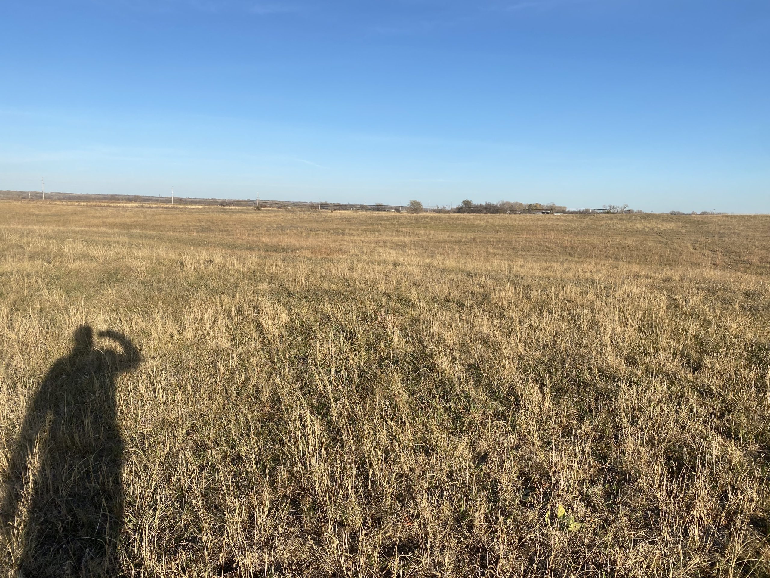 Absolute Auction Live & Online, 110+ Irrigated & Grass Acres East of