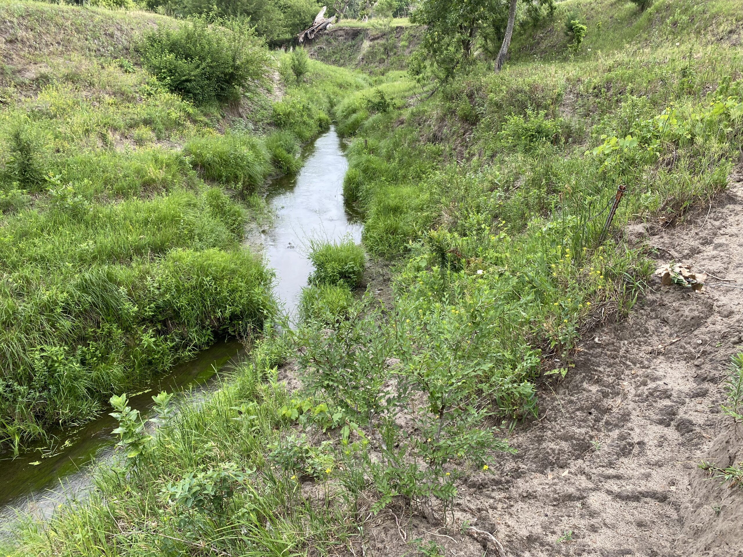 37.43 Acre Building Site, Farmland or Pasture East of Tilden, Ne along
