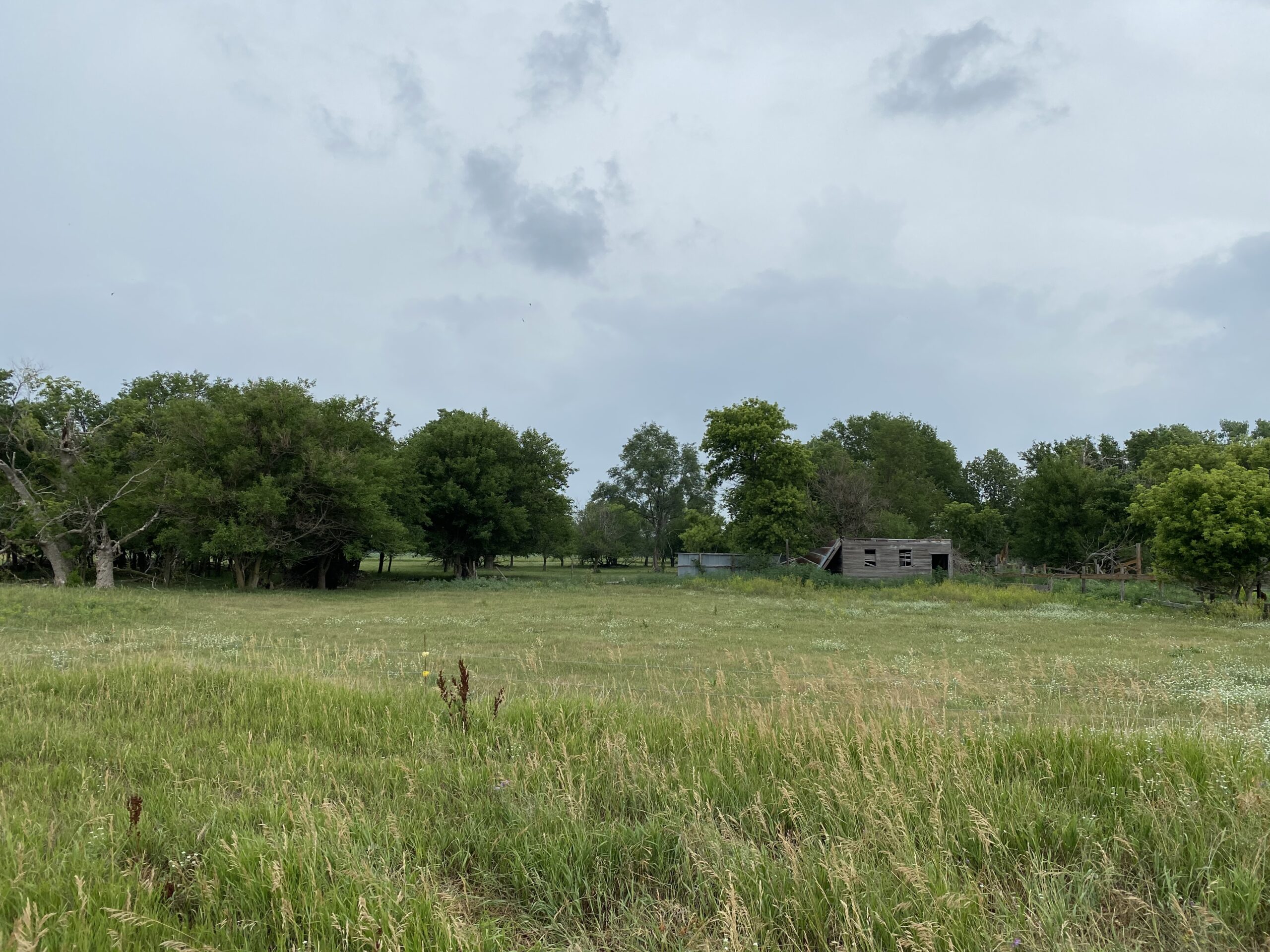 37.43 Acre Building Site, Farmland or Pasture East of Tilden, Ne along