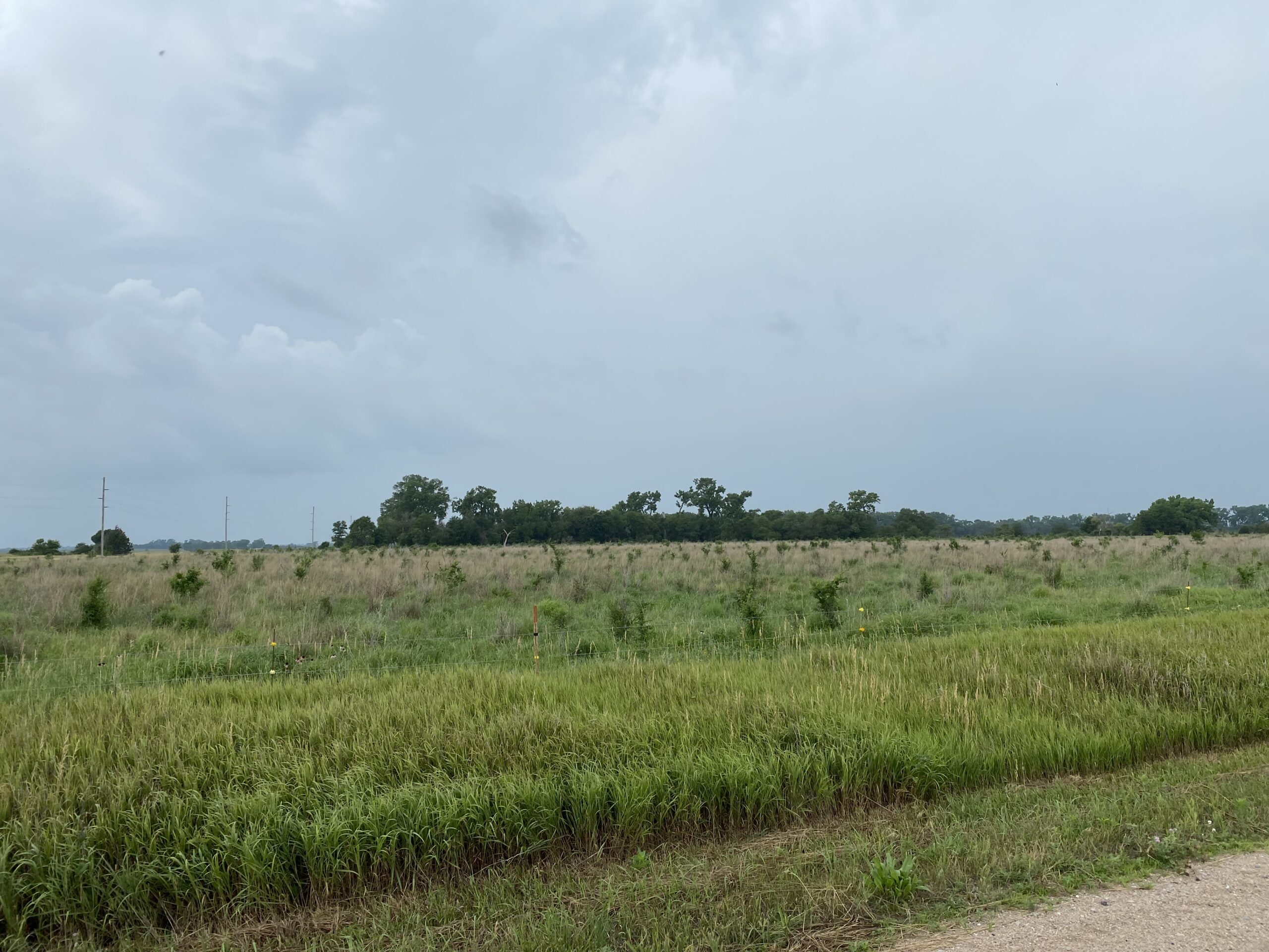 37.43 Acre Building Site, Farmland or Pasture East of Tilden, Ne along