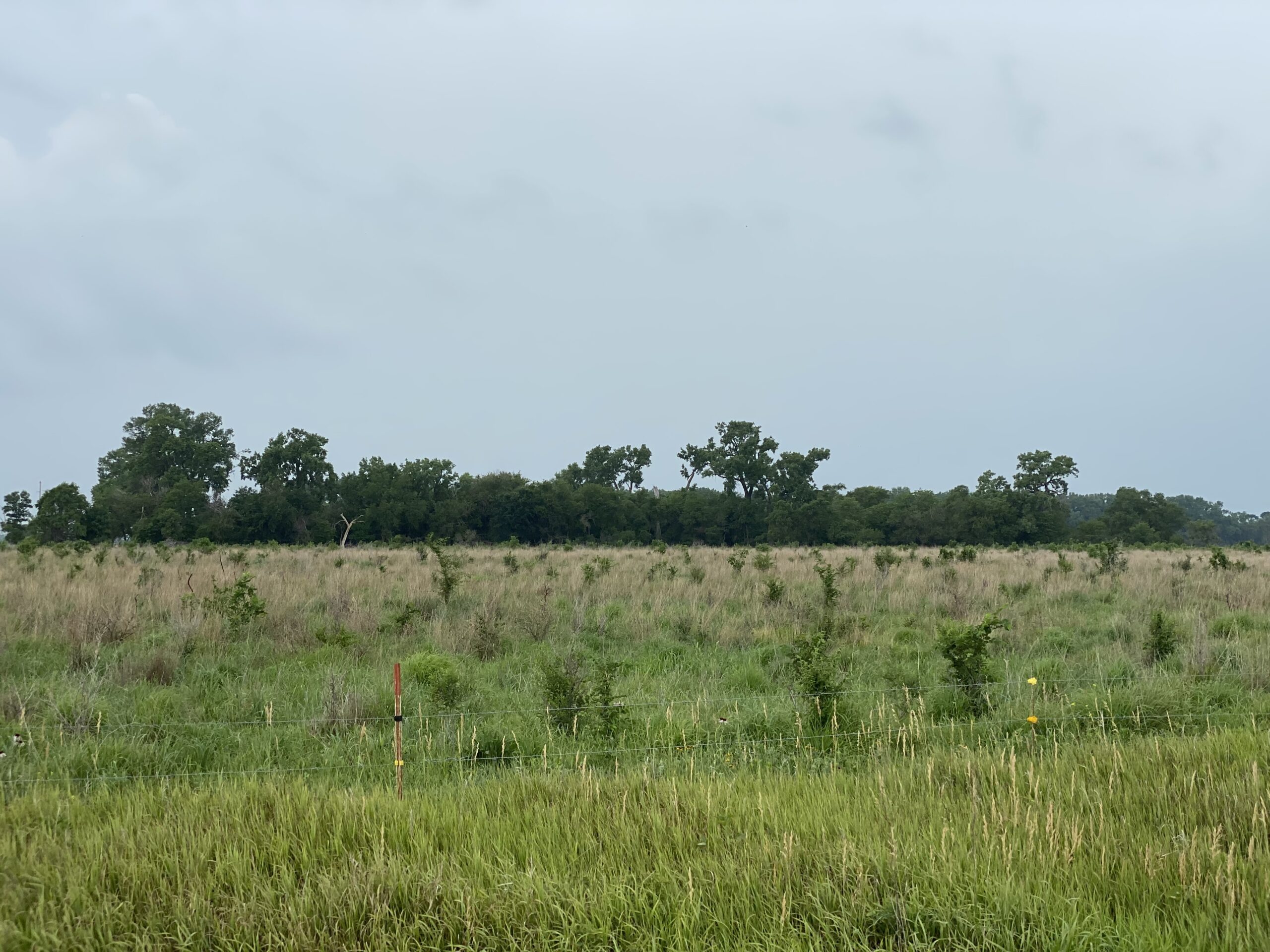 37.43 Acre Building Site, Farmland or Pasture East of Tilden, Ne along