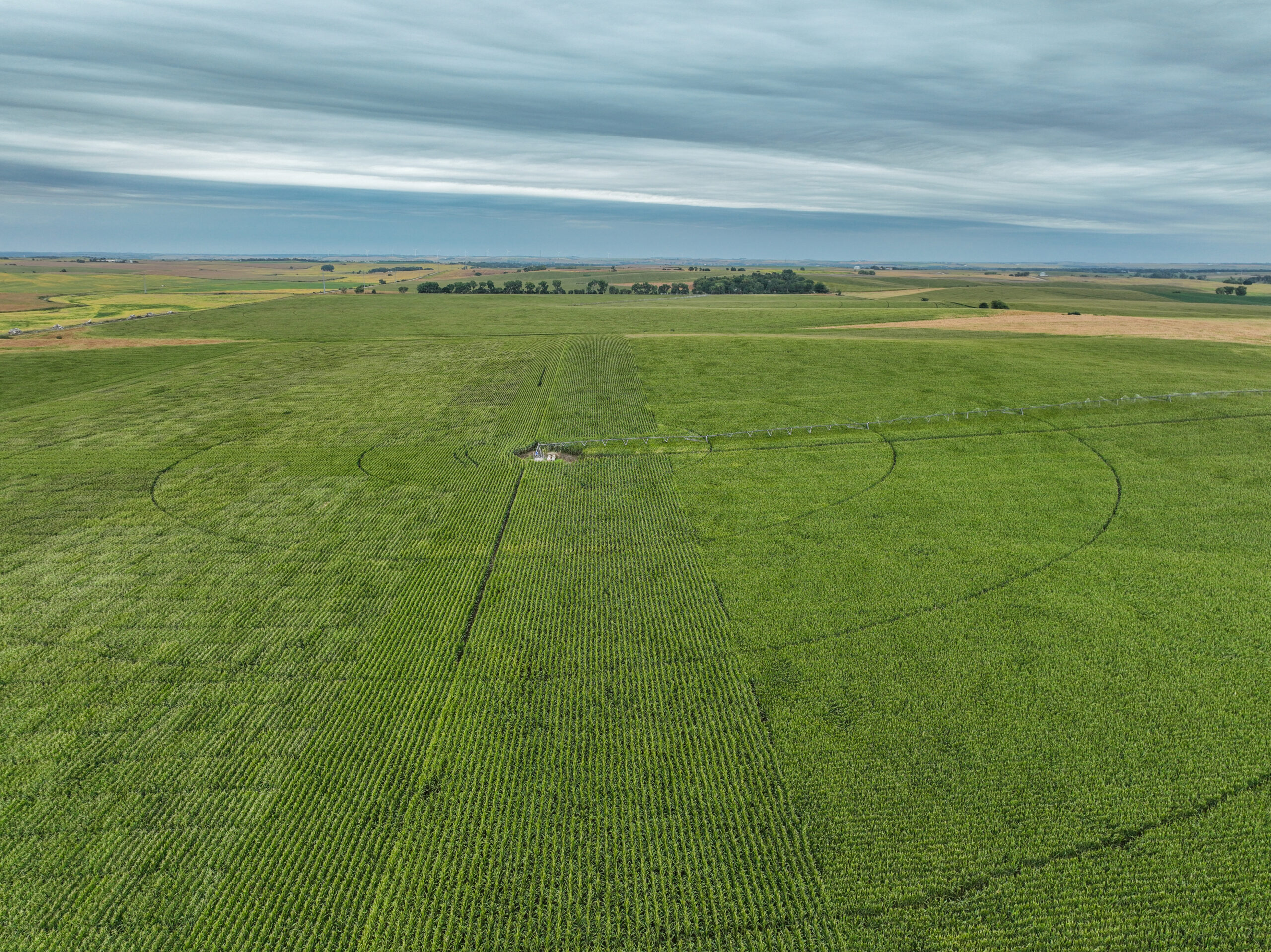 Absolute Land Auction Live & Online 460.89 Acres Irrigated Cropland