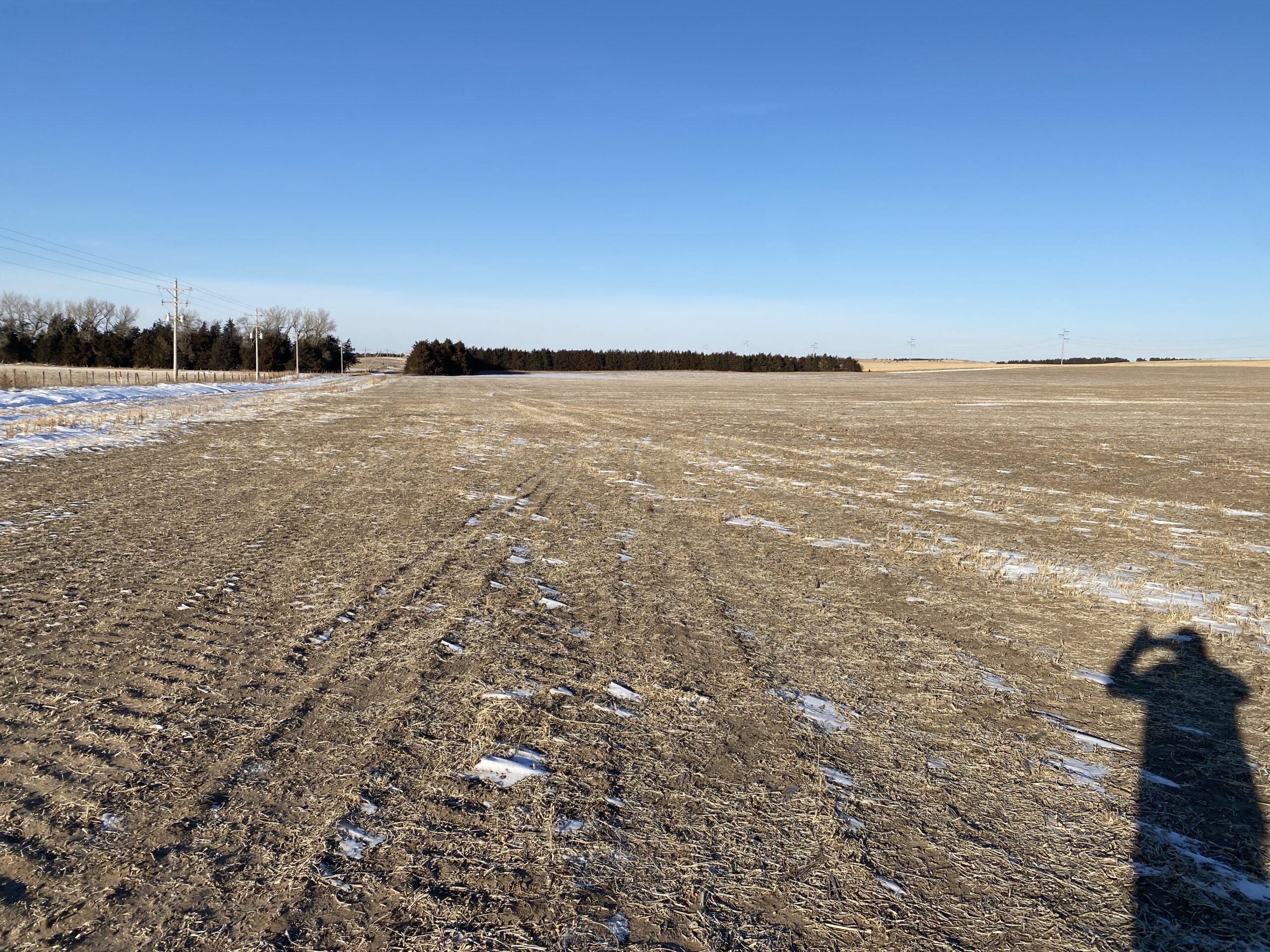 160 Acres Irrigated Cropland Northeast of Tilden, NE in Pierce County