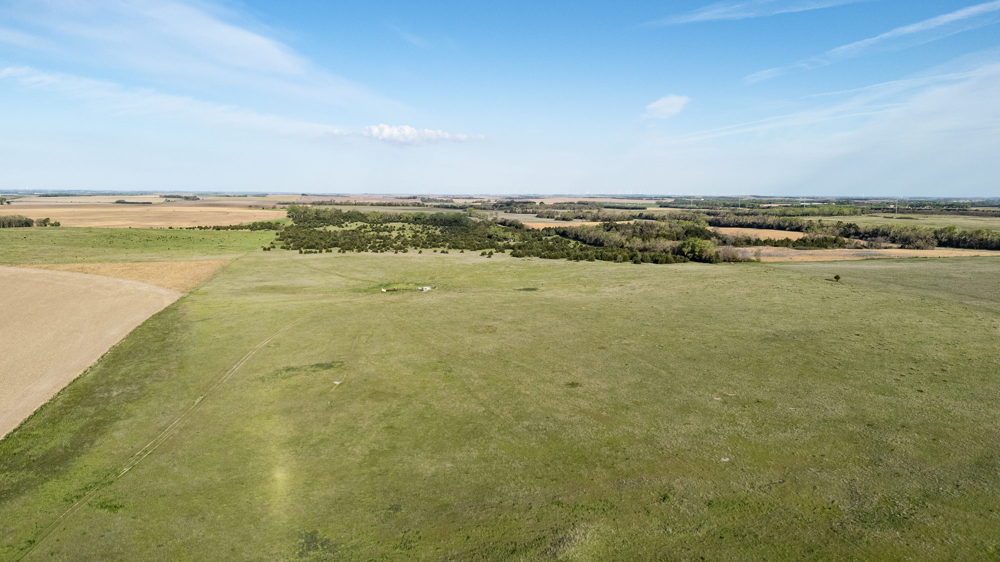 DJI_20240511083403_0012_D_result