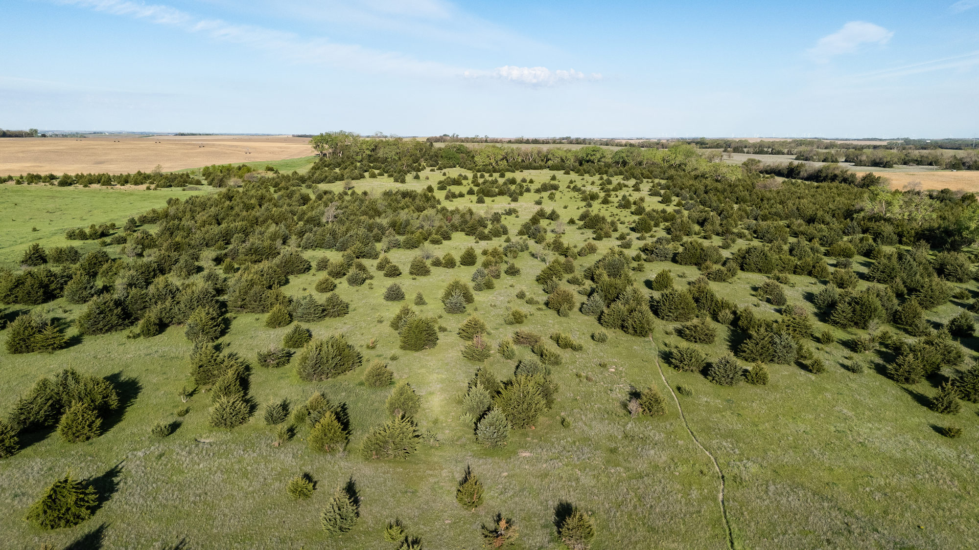 DJI_20240511083533_0016_D_result