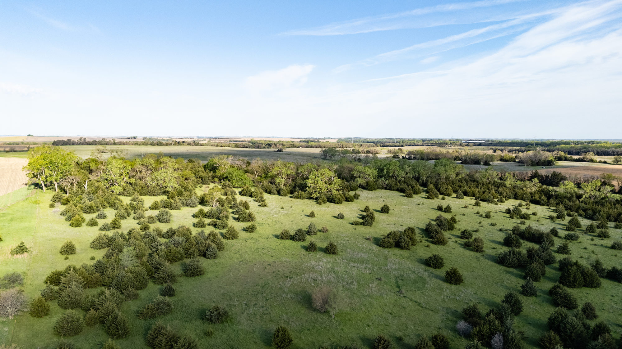 DJI_20240511084035_0023_D_result