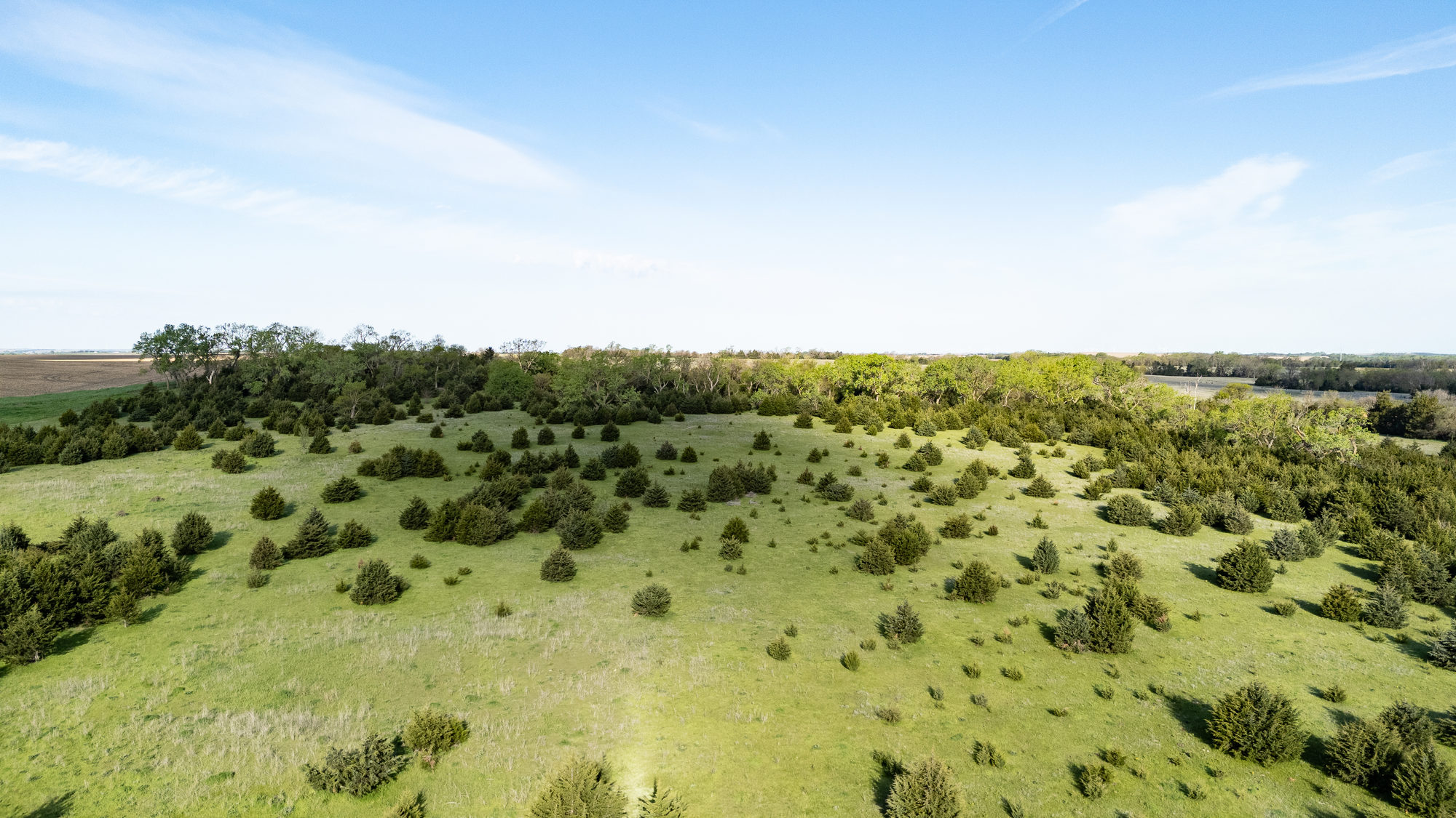 DJI_20240511084124_0025_D_result