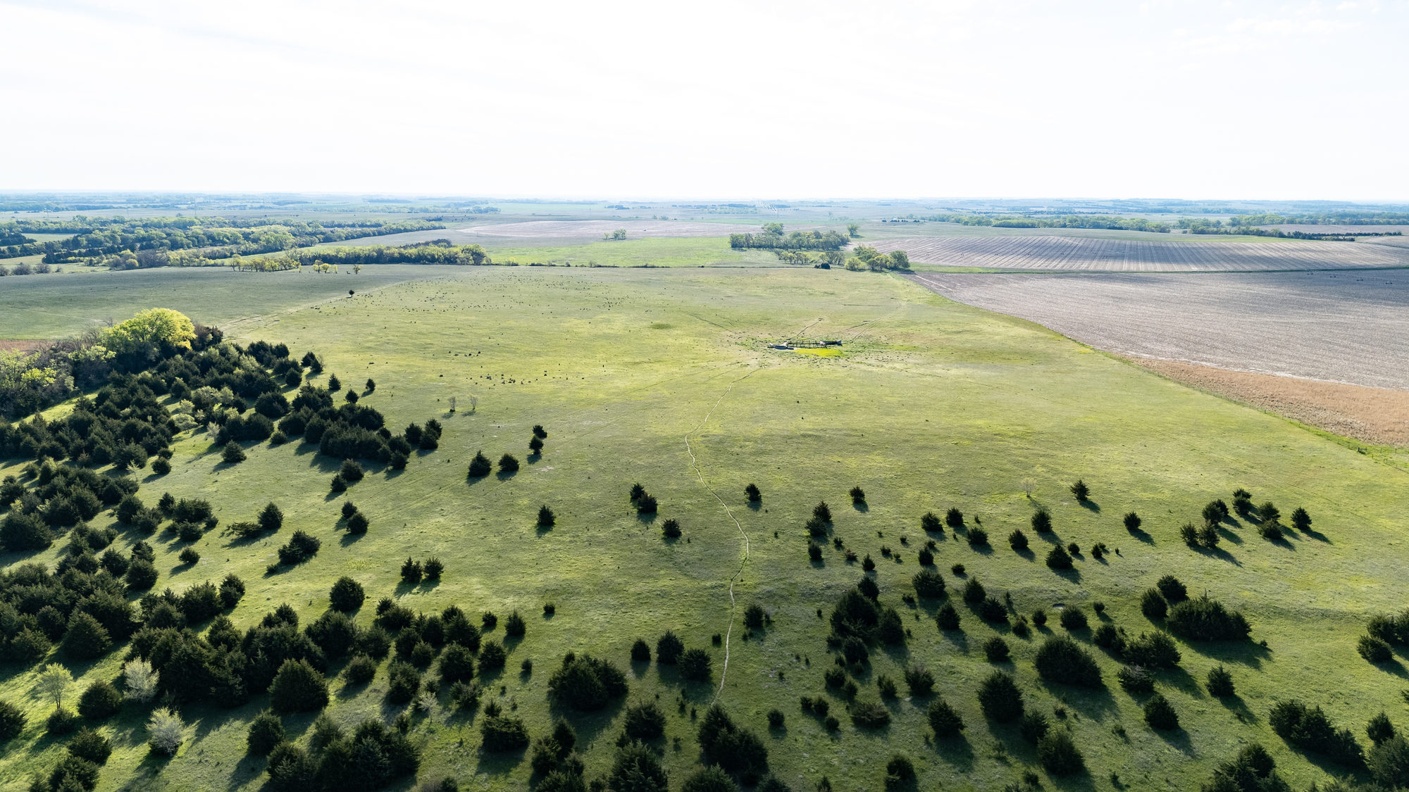 DJI_20240511084146_0026_D_result