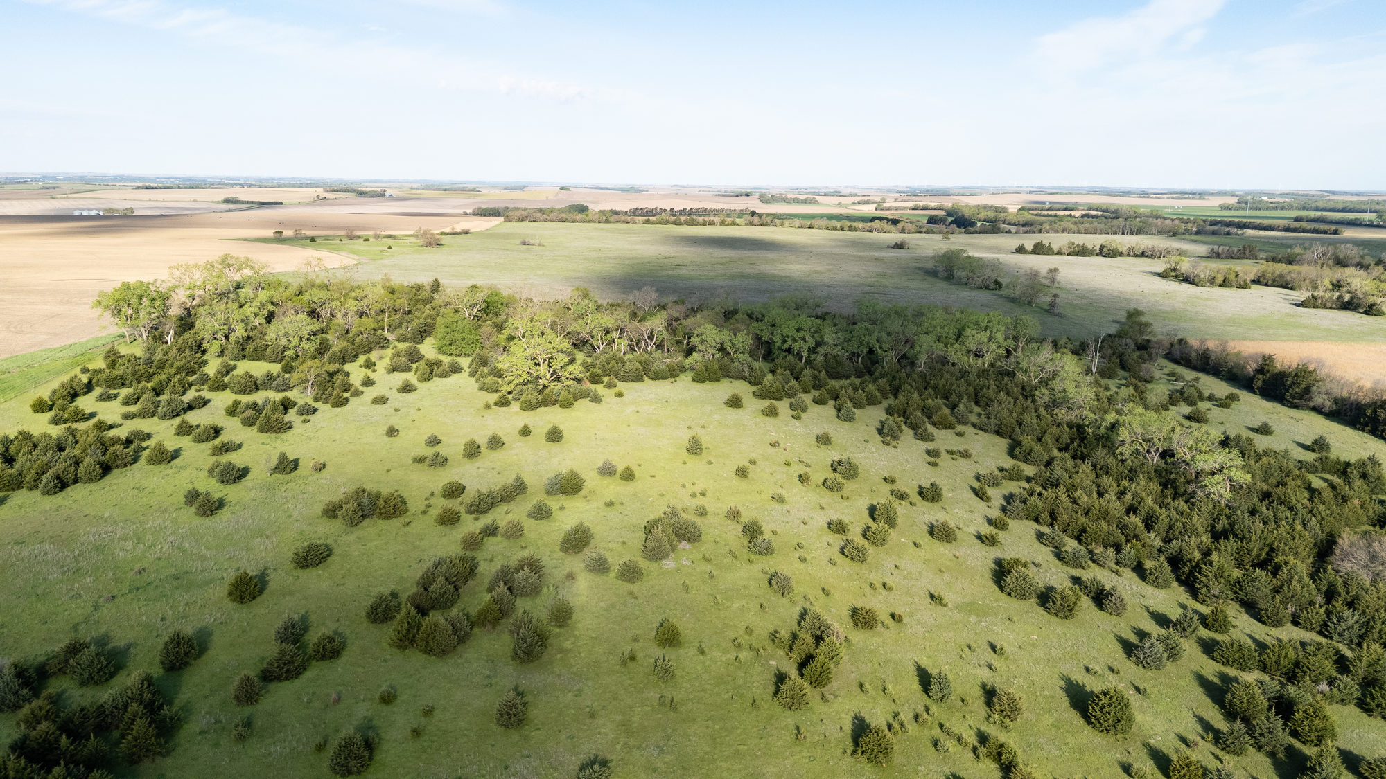 DJI_20240511084154_0027_D_result