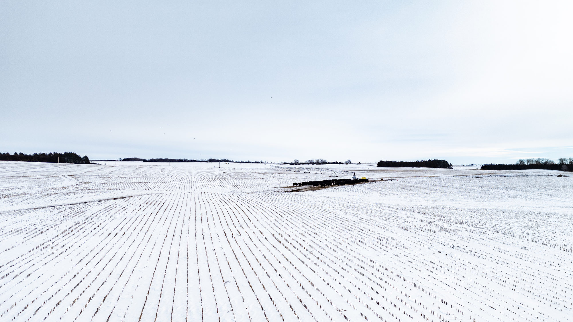 DJI_20240117114258_0010_D_result