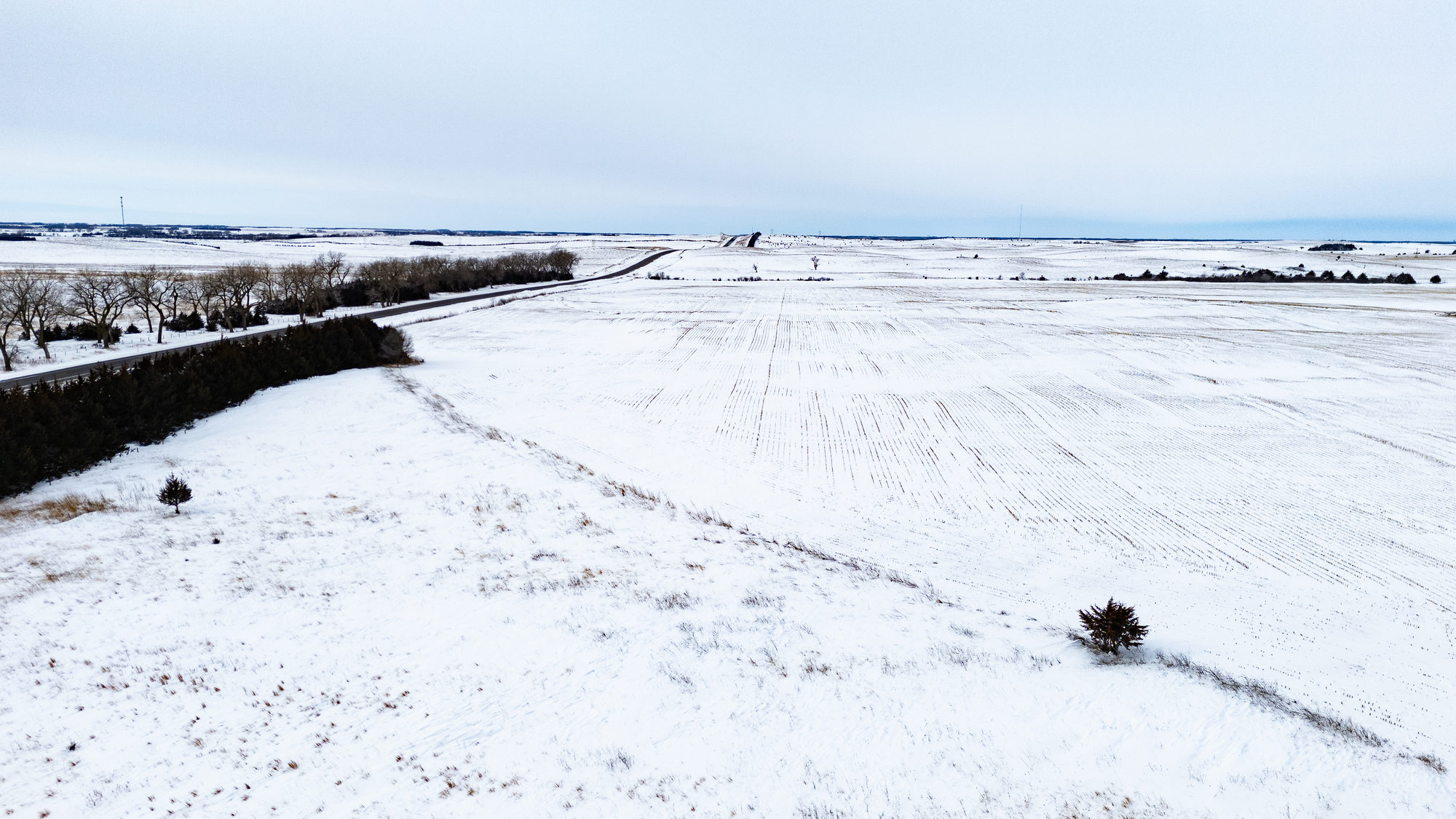 DJI_20240117114711_0018_D_result