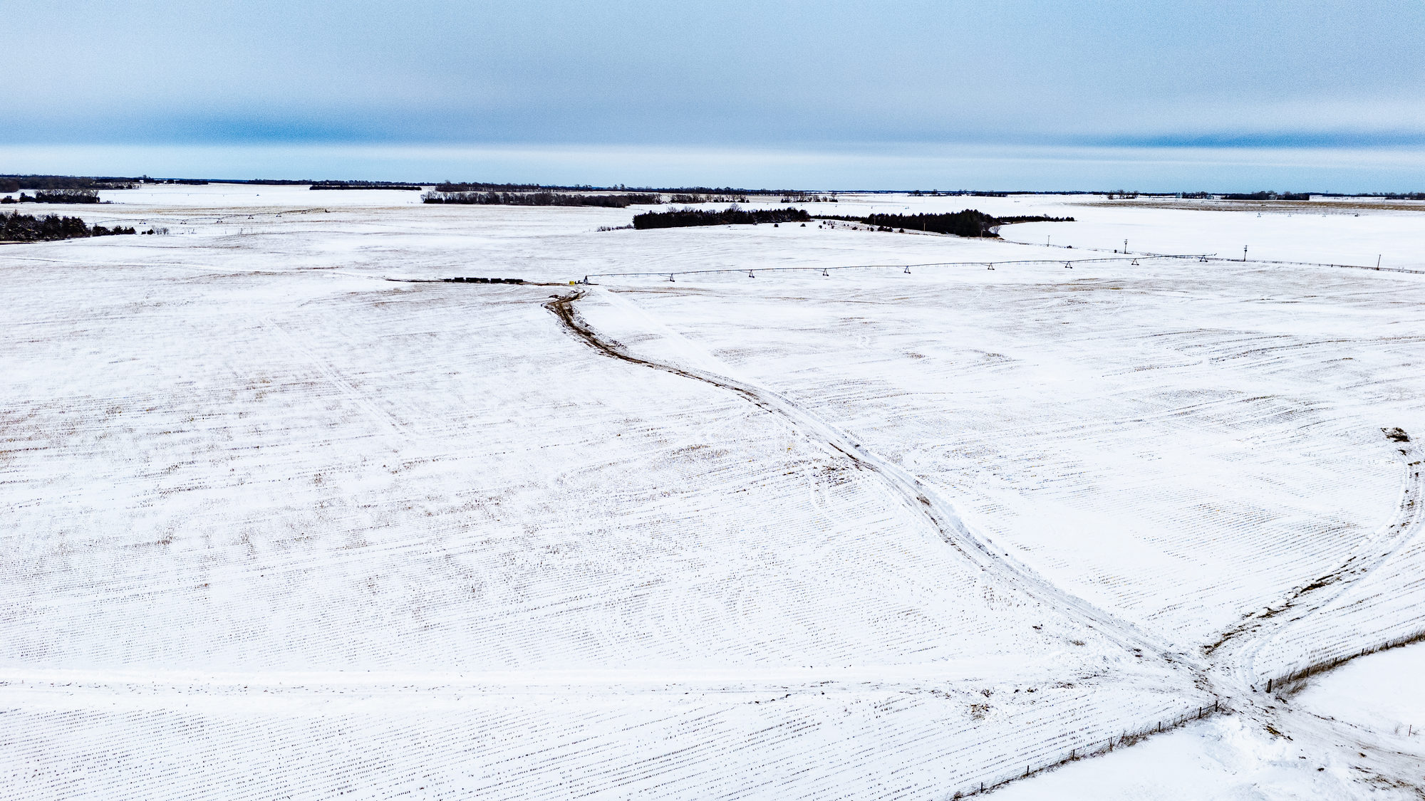 DJI_20240117114844_0020_D_result