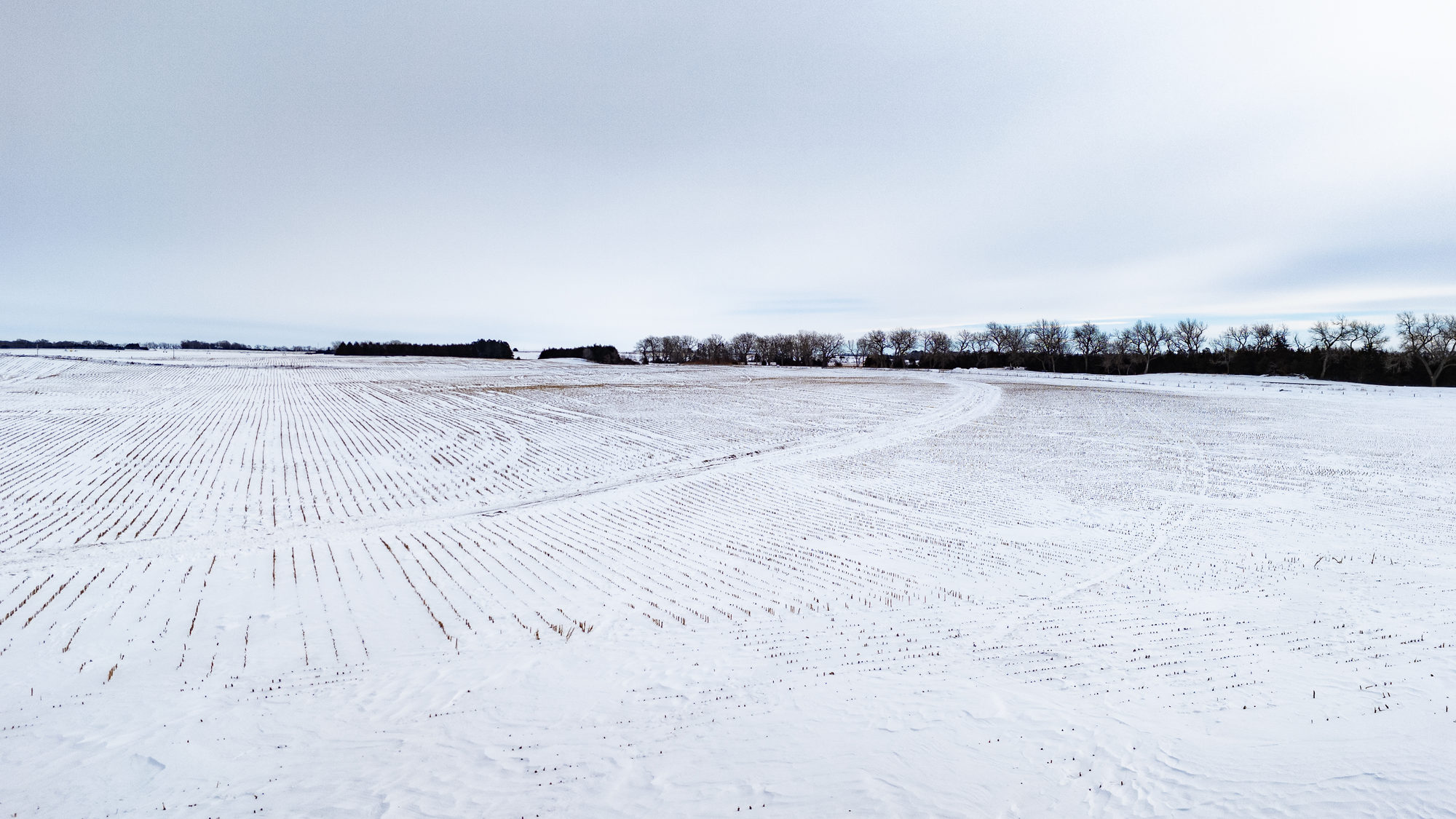 DJI_20240117114922_0021_D_result