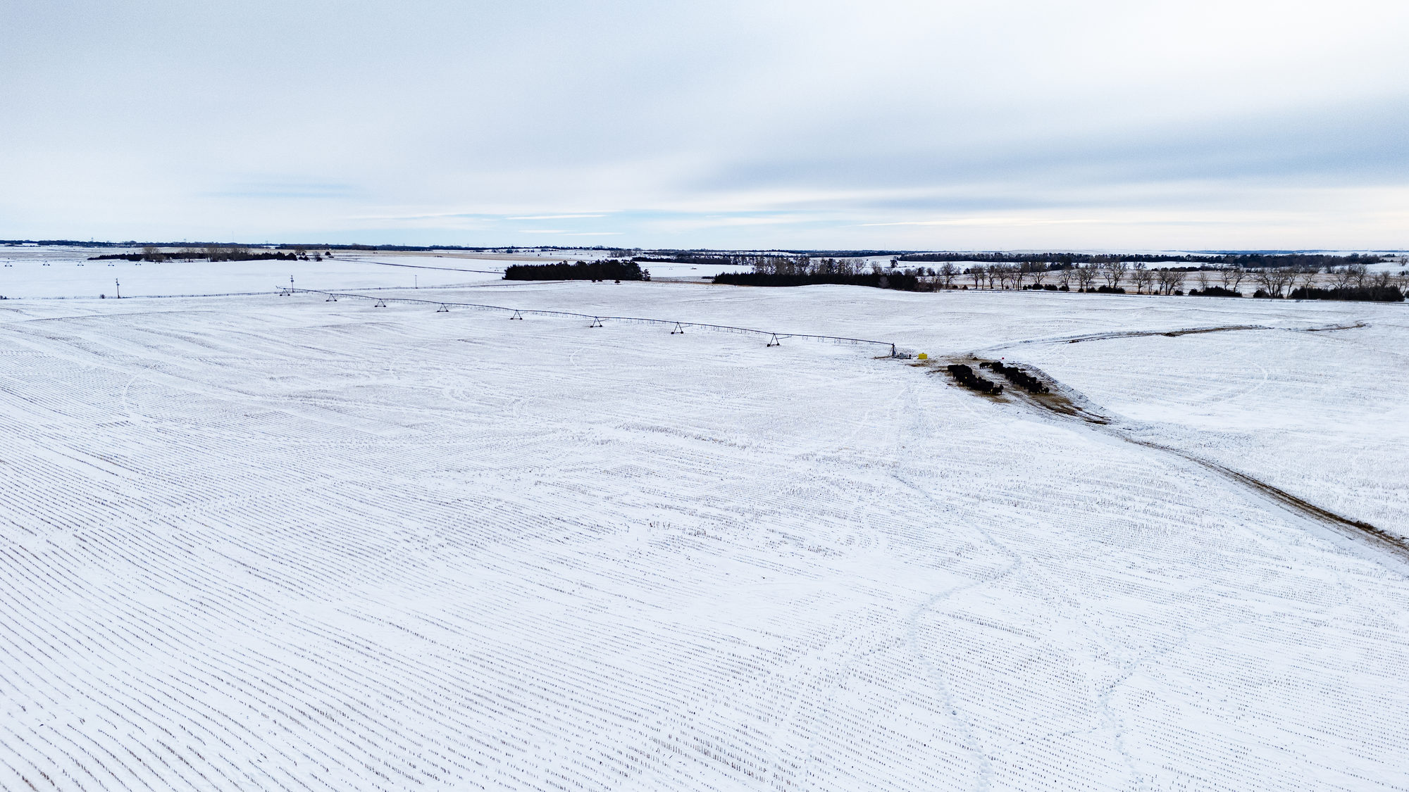 DJI_20240117115015_0023_D_result