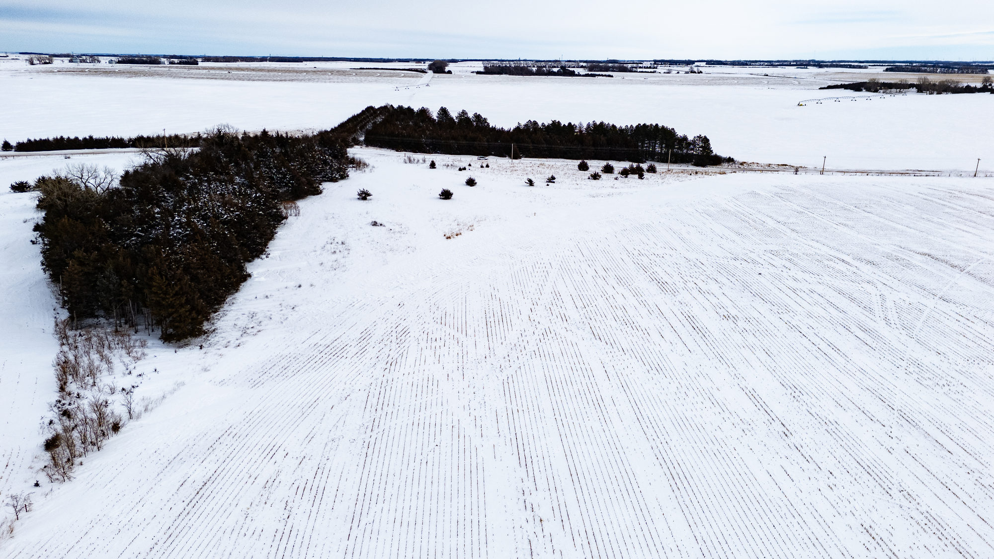 DJI_20240117115048_0024_D_result