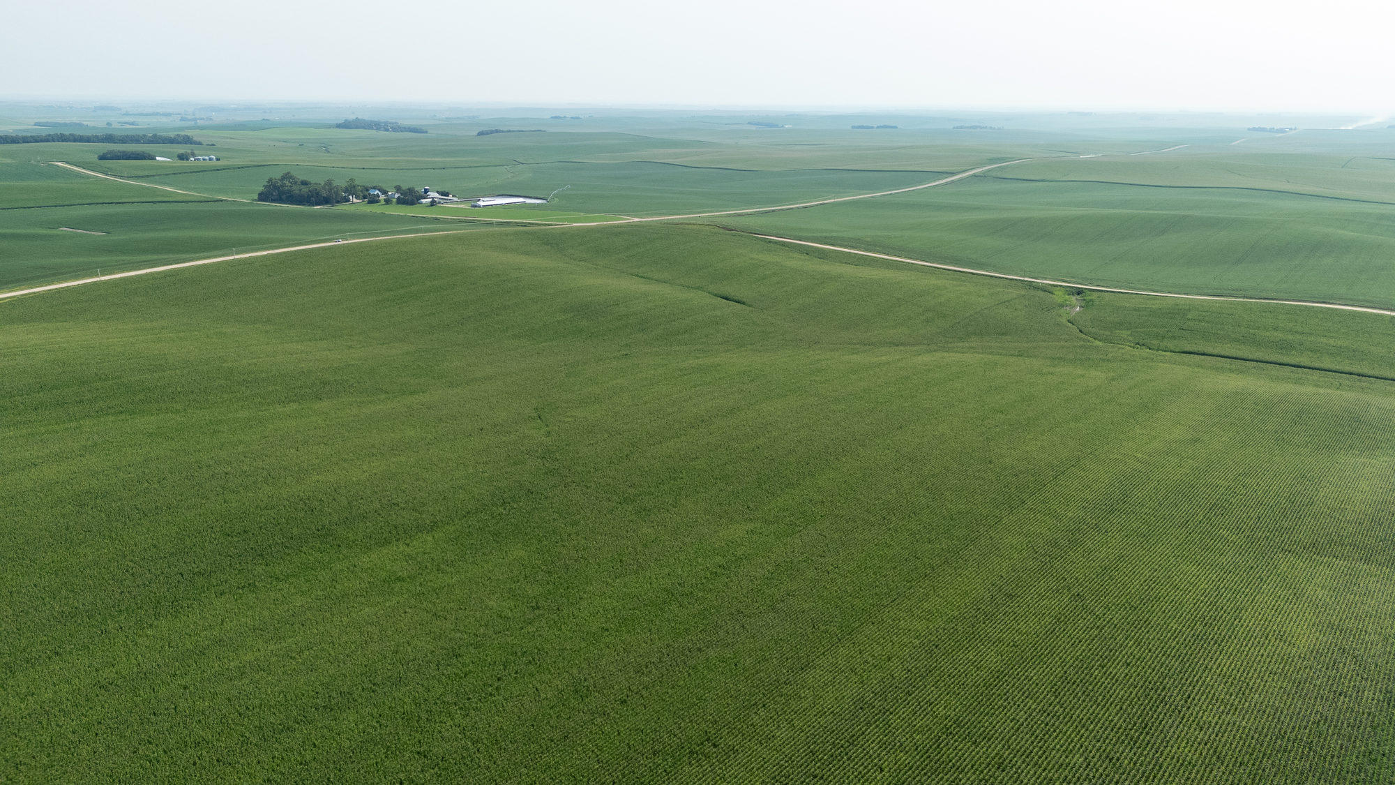 DJI_20240724102612_0008_D_result