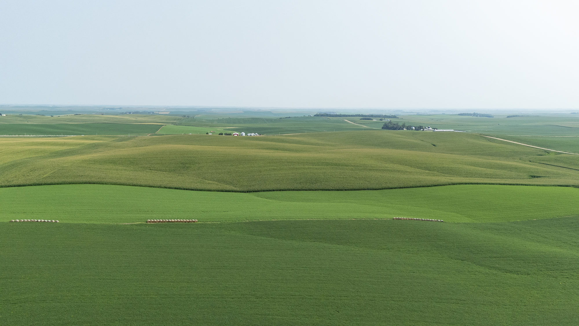 DJI_20240724102703_0010_D_result