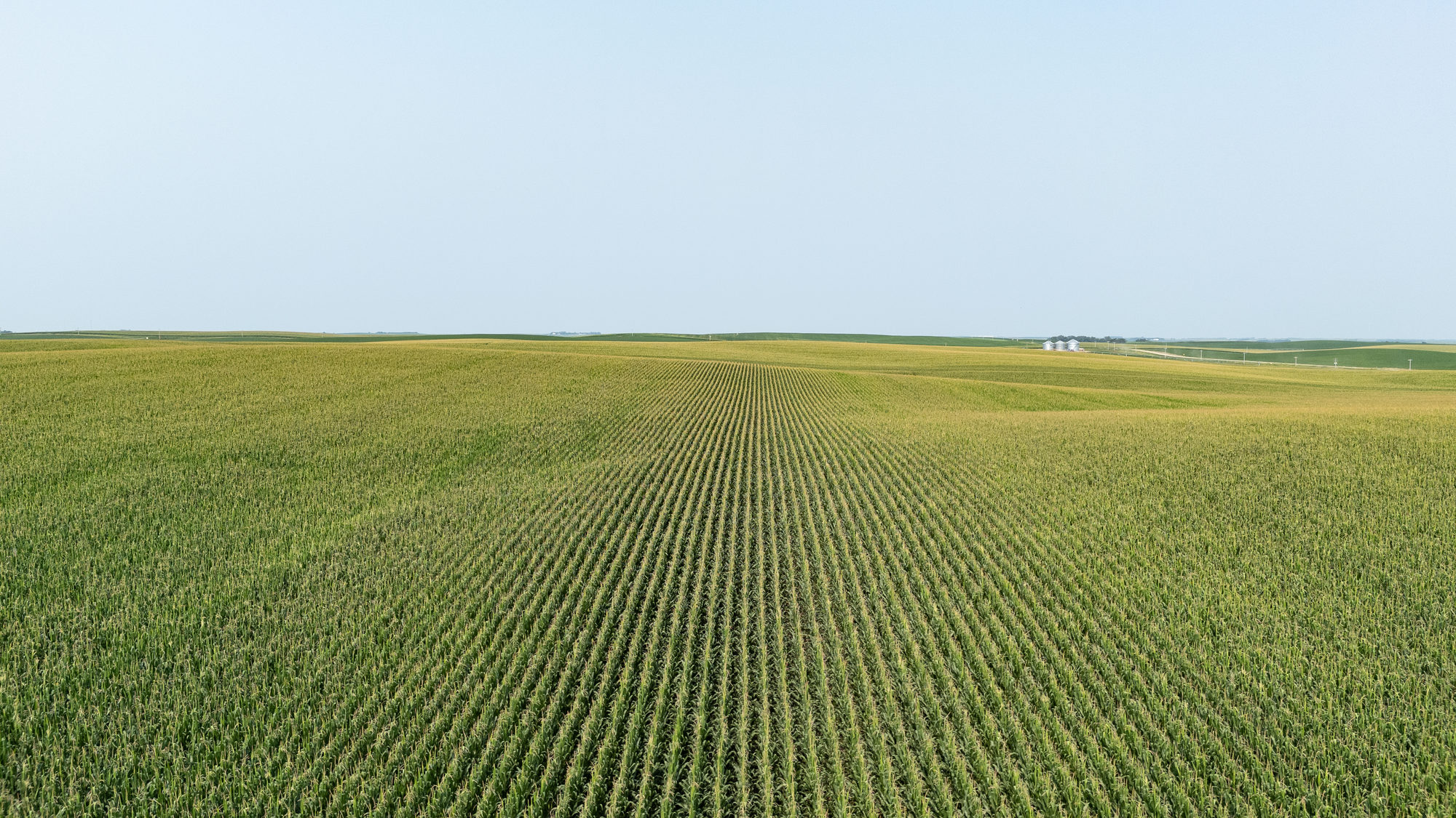 DJI_20240724102957_0016_D_result