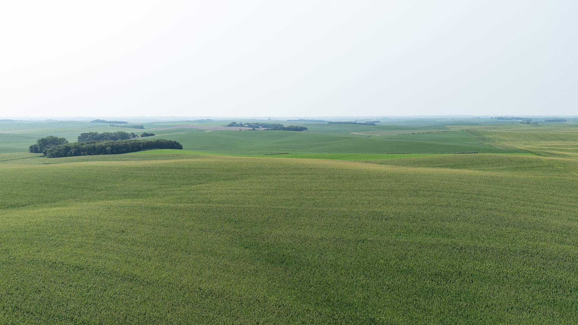 DJI_20240724103038_0018_D_result