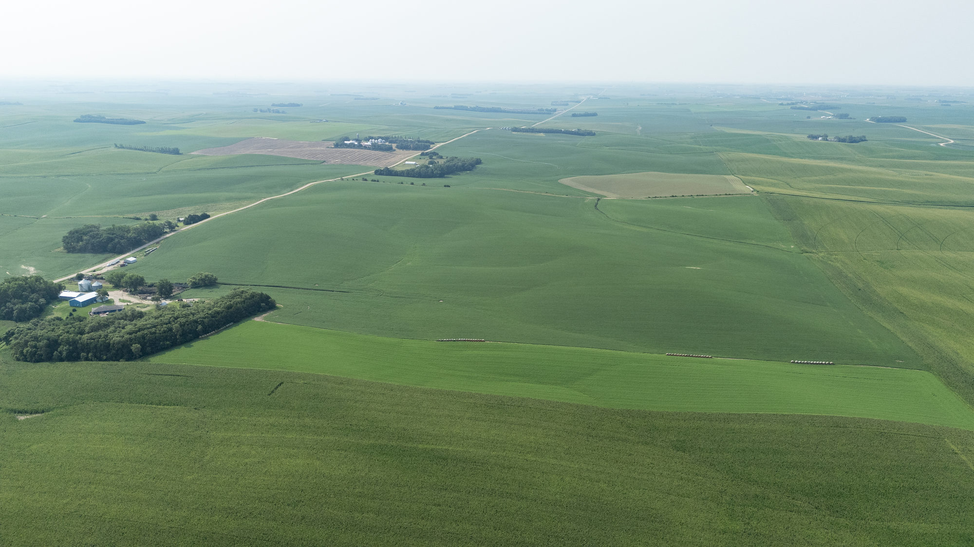 DJI_20240724103601_0023_D_result