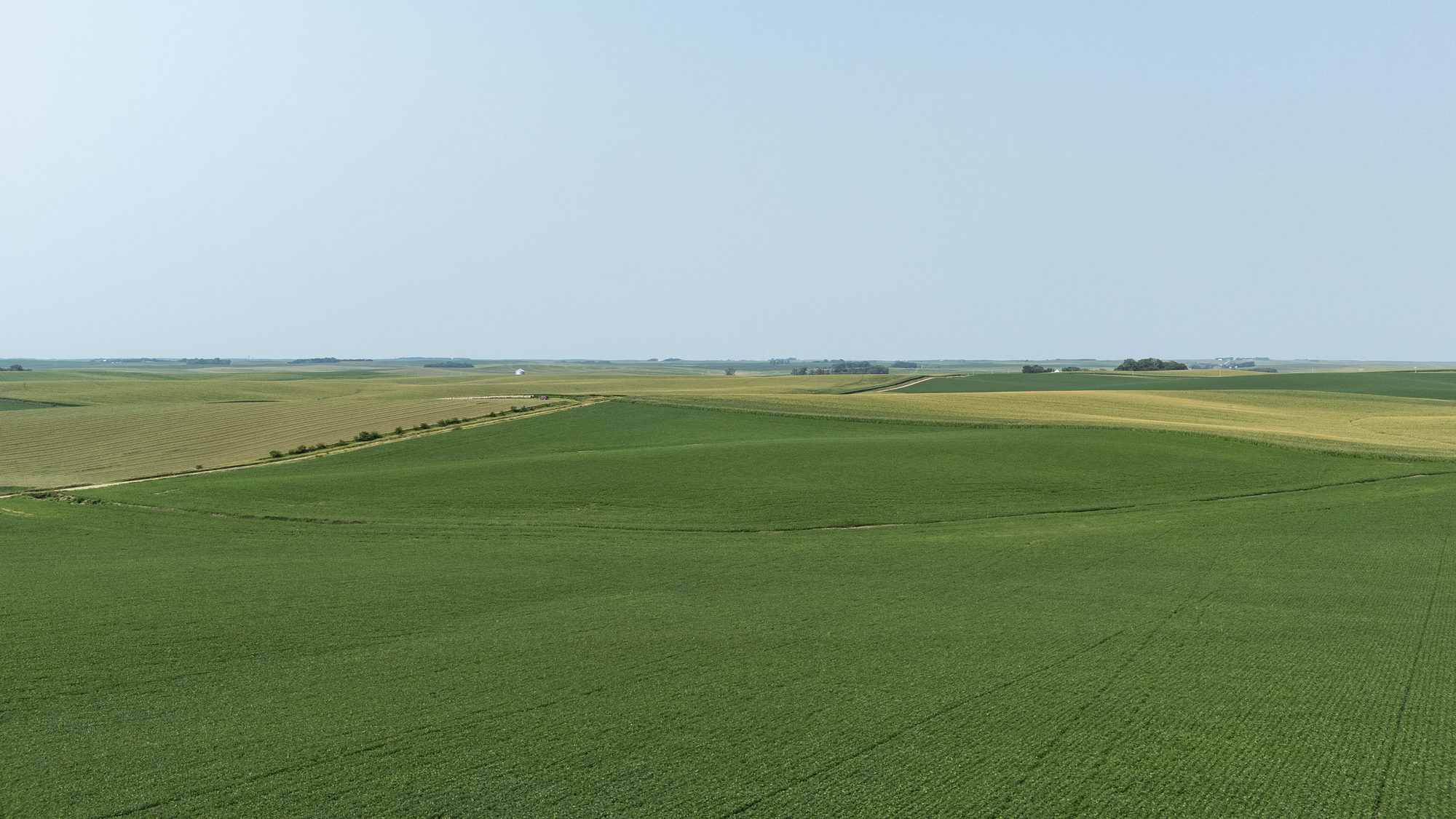 DJI_20240724103759_0026_D_result