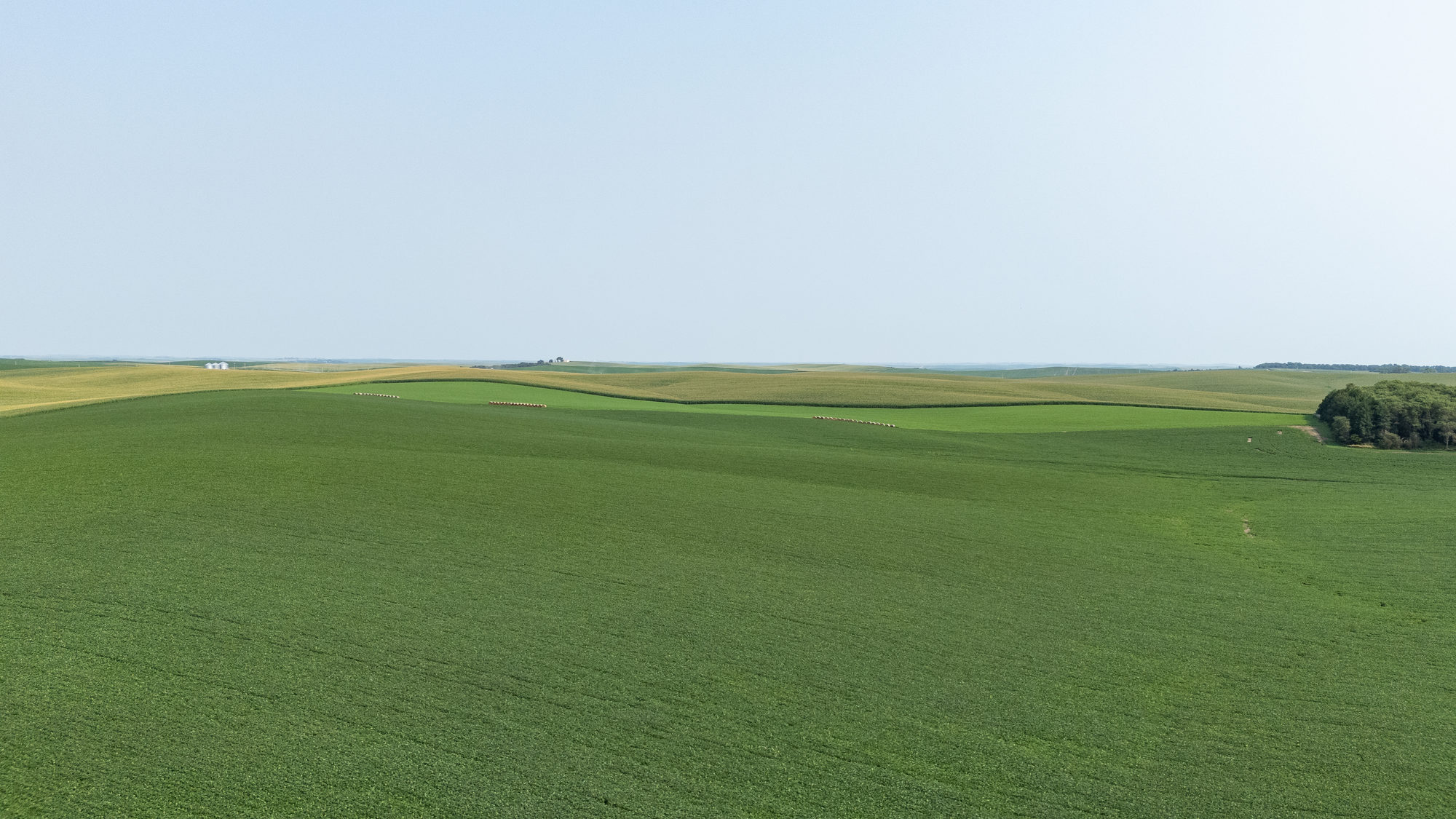 DJI_20240724103804_0027_D_result