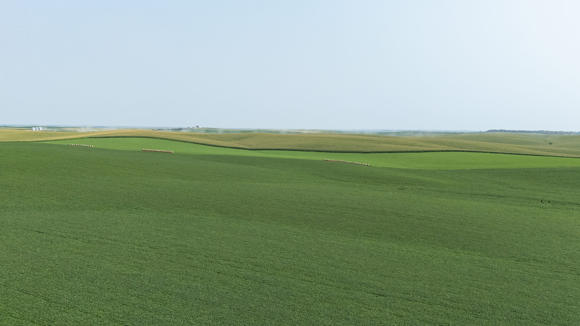 DJI_20240724104643_0038_D_result