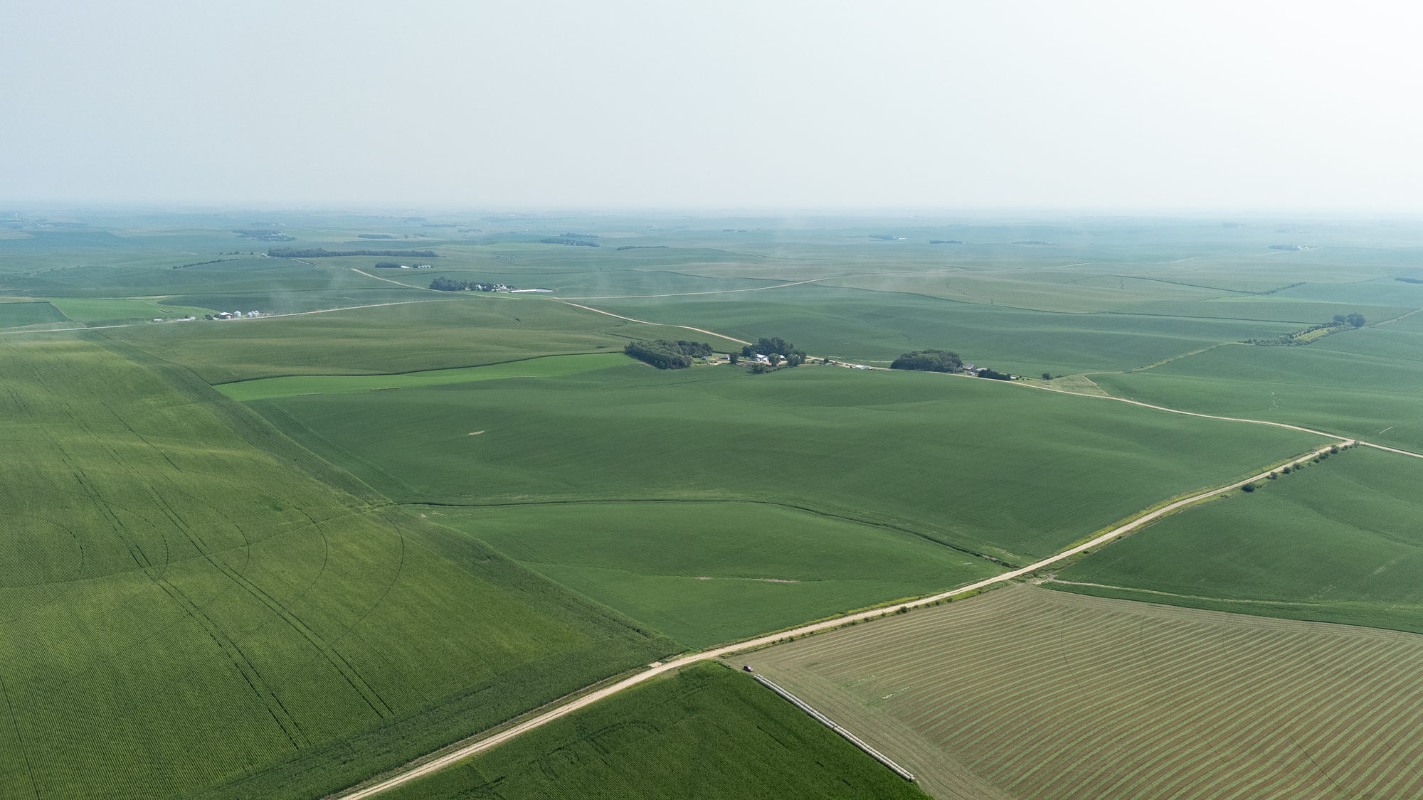 DJI_20240724104800_0041_D_result