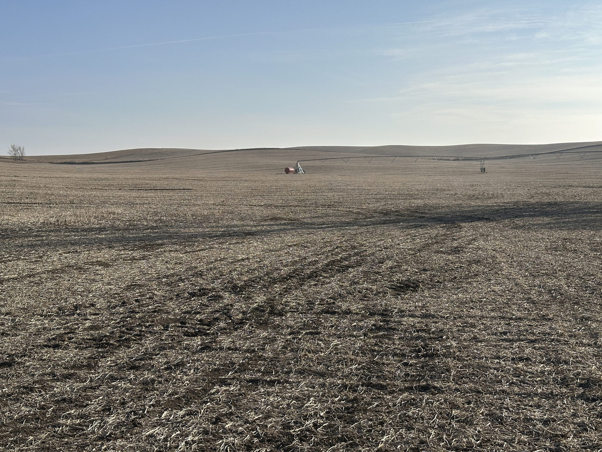 IMG_6959_result