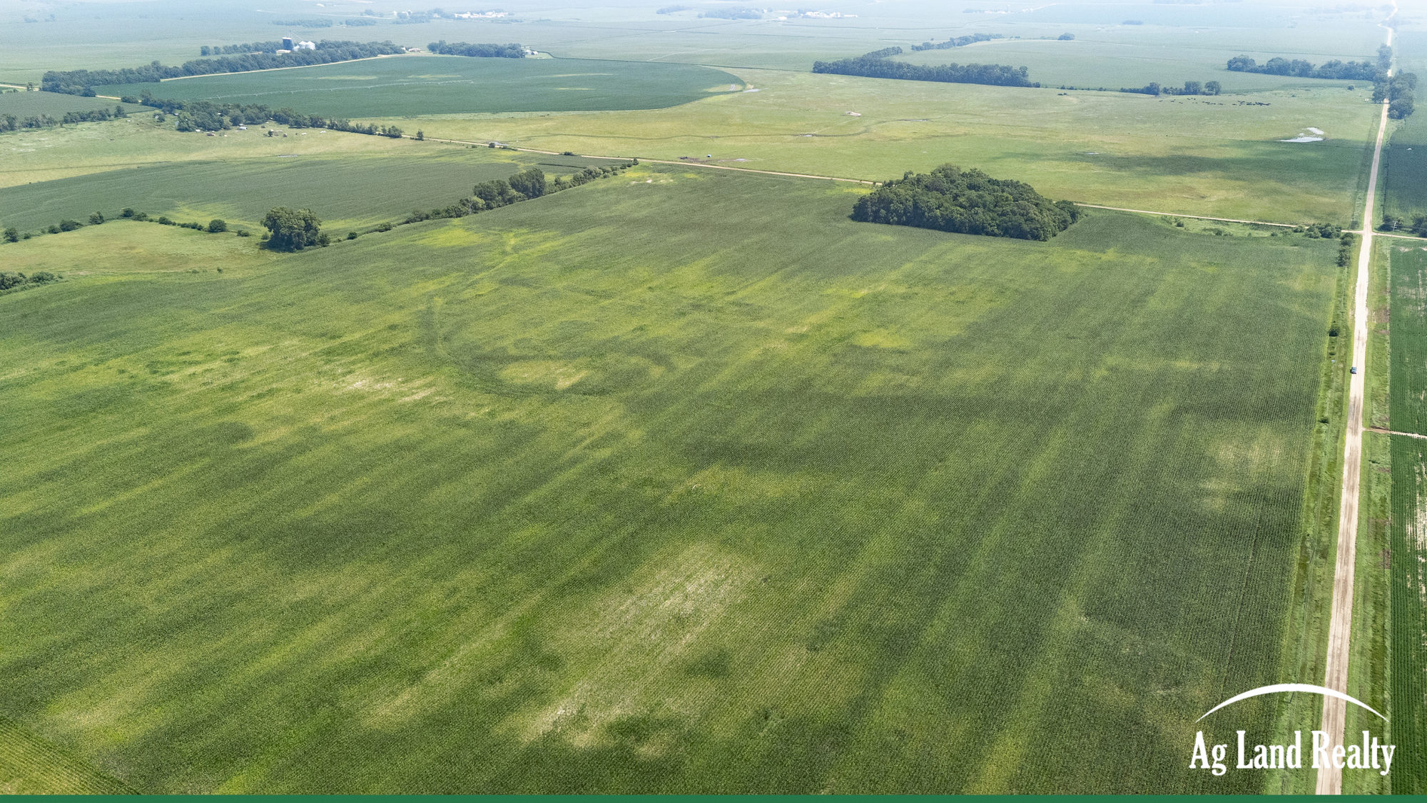DJI_20250731132640_0038_D_result