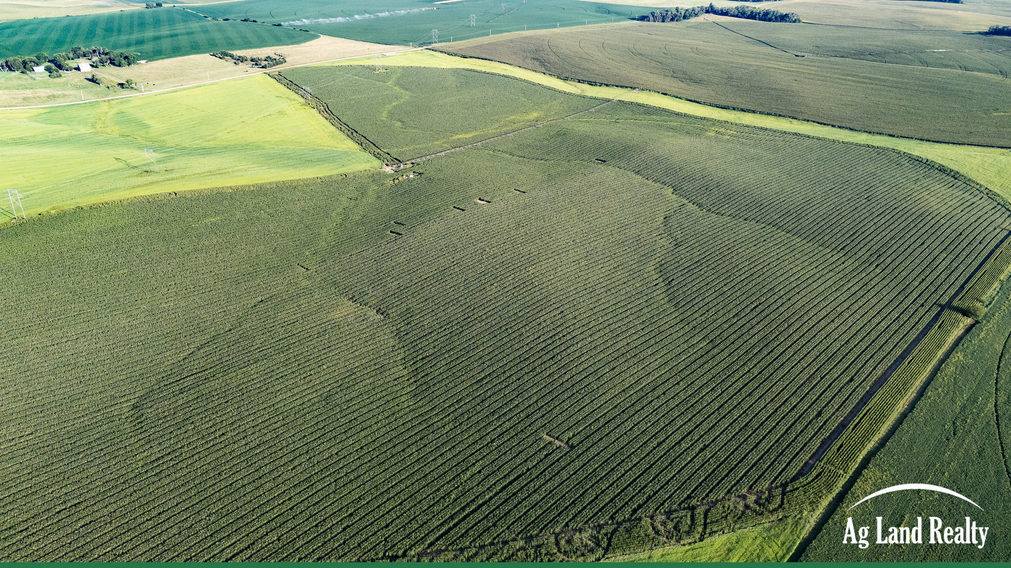 DJI_20250827082515_0162_D_result