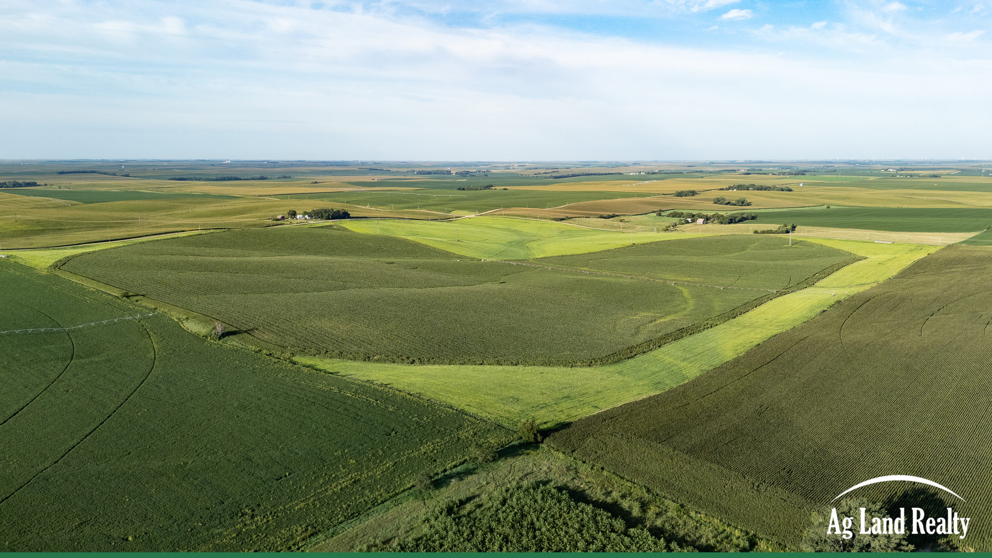 DJI_20250827082648_0165_D_result