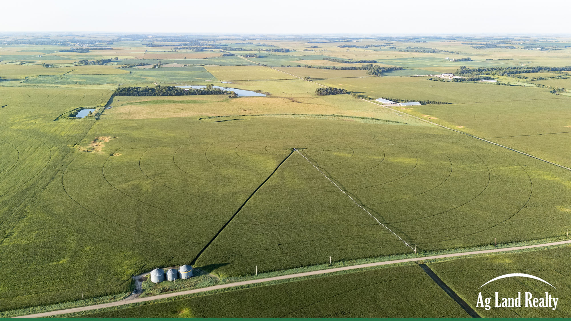 DJI_20250813075531_0007_D_result