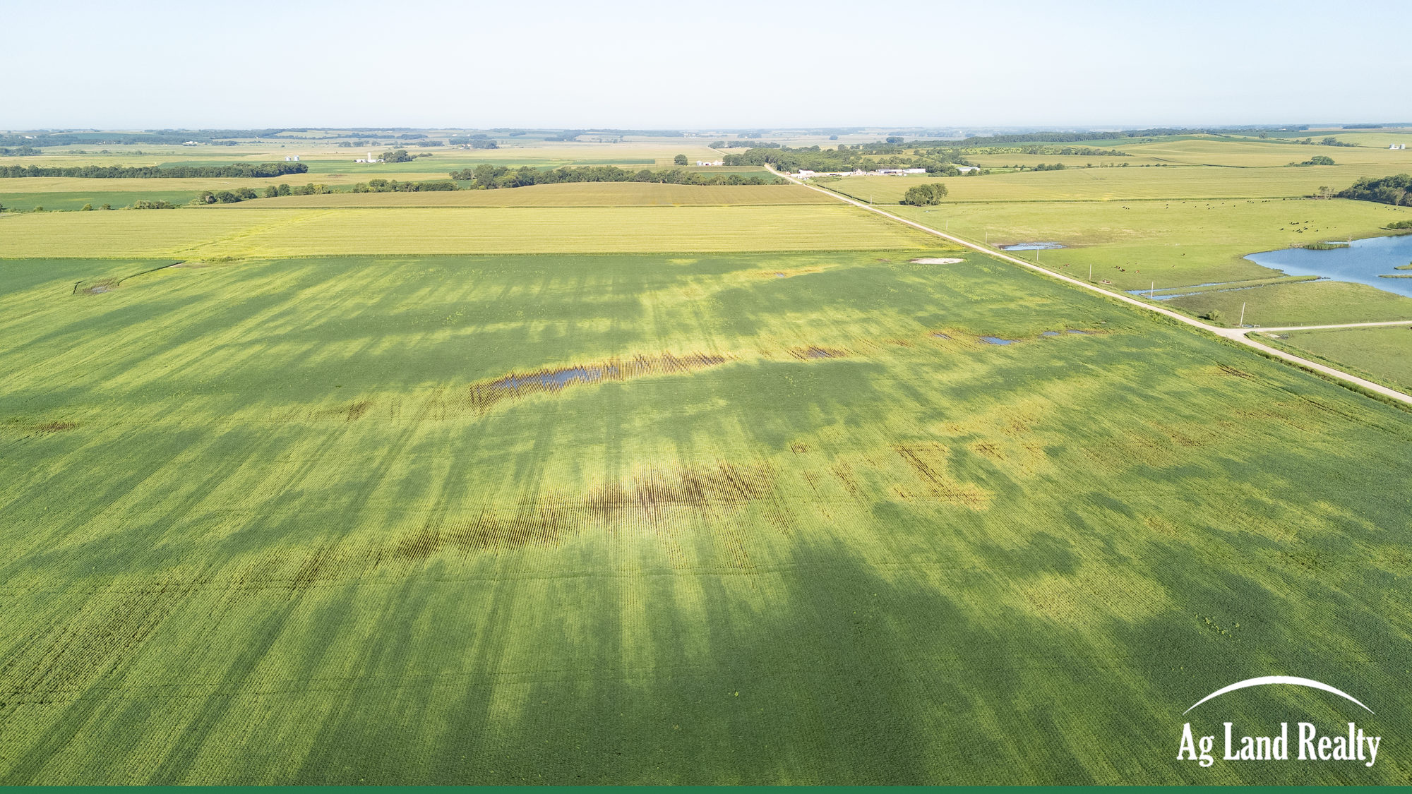 DJI_20250813084543_0070_D_result