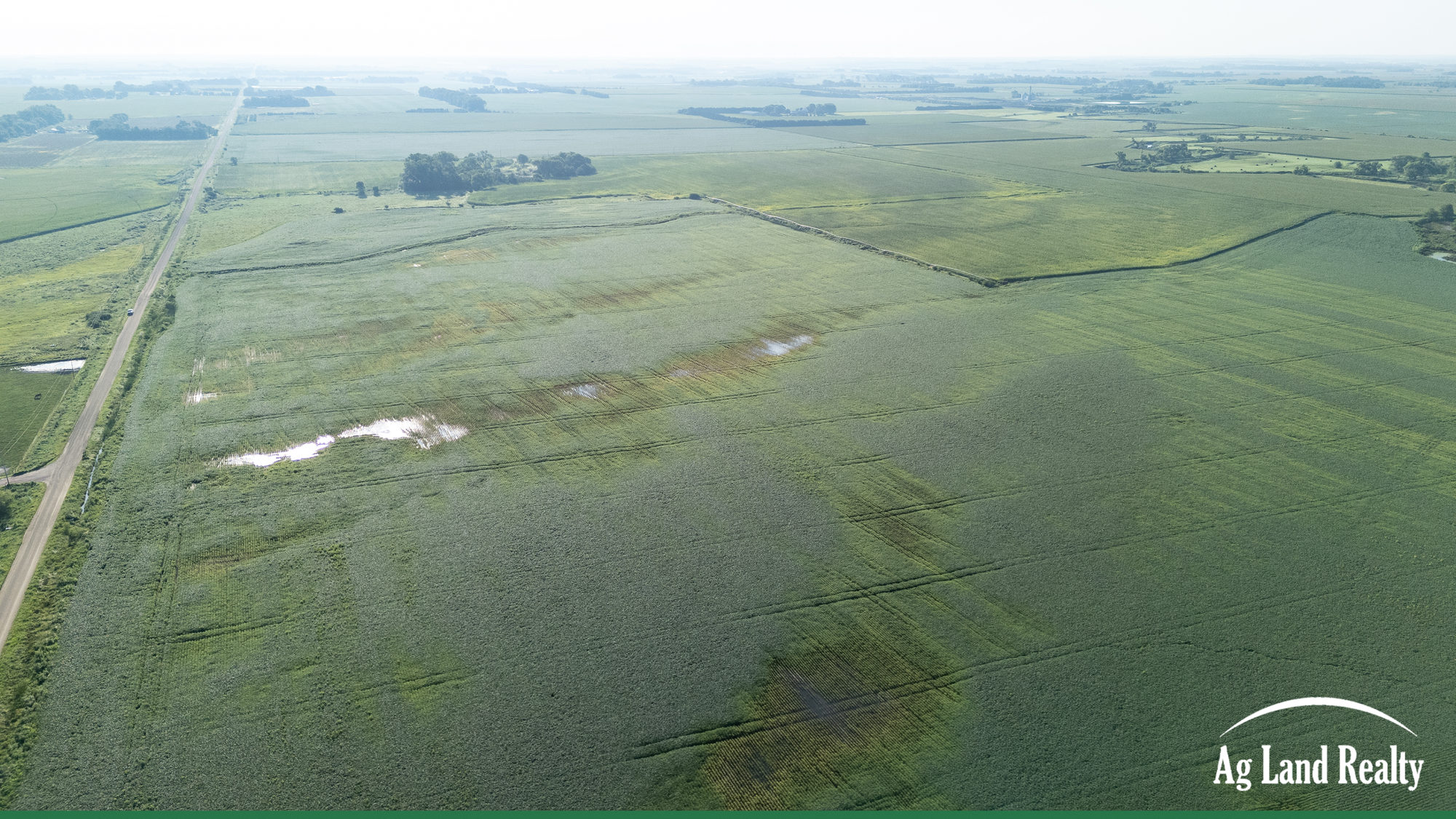 DJI_20250813085046_0083_D_result