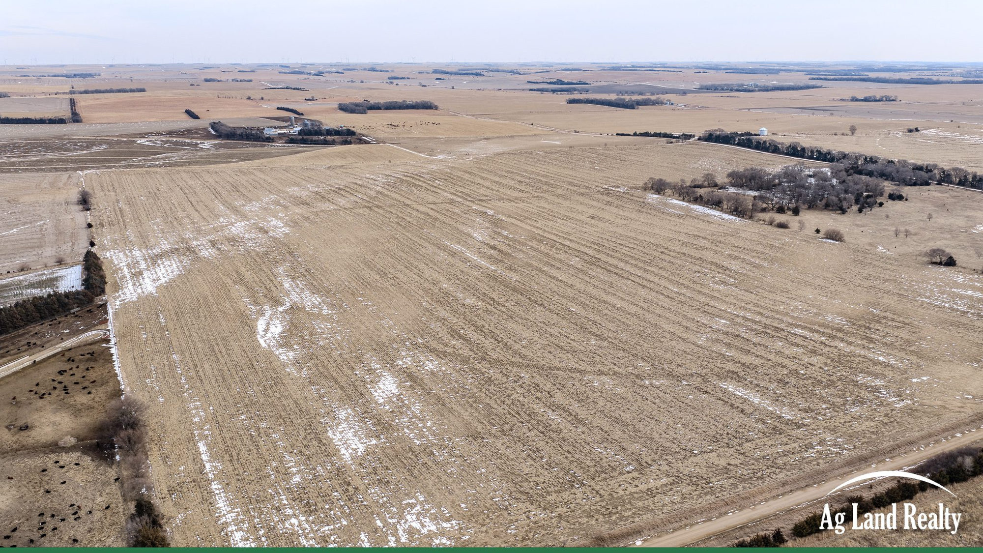 DJI_20260202135035_0007_D_result