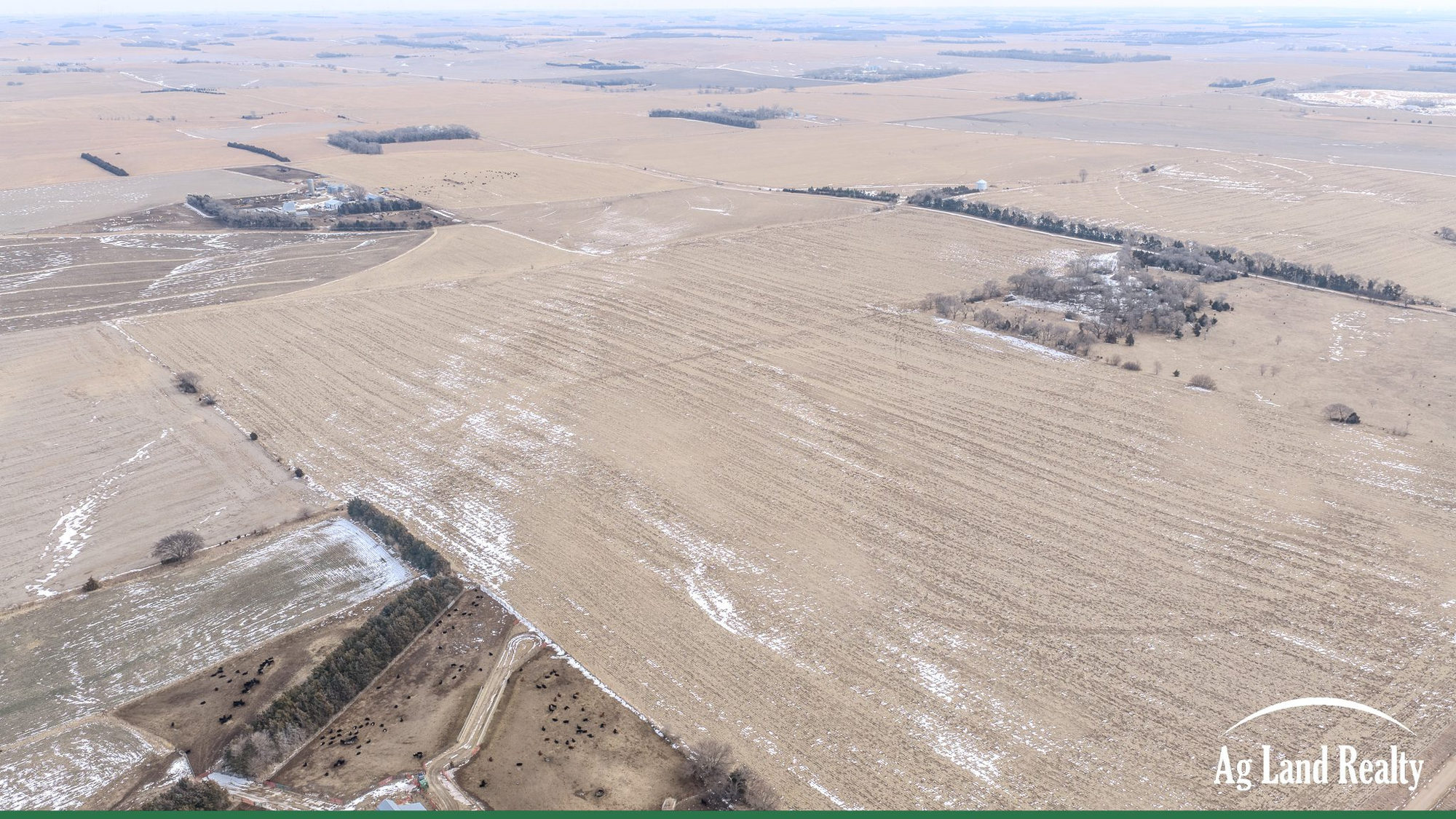 DJI_20260202135133_0009_D_result