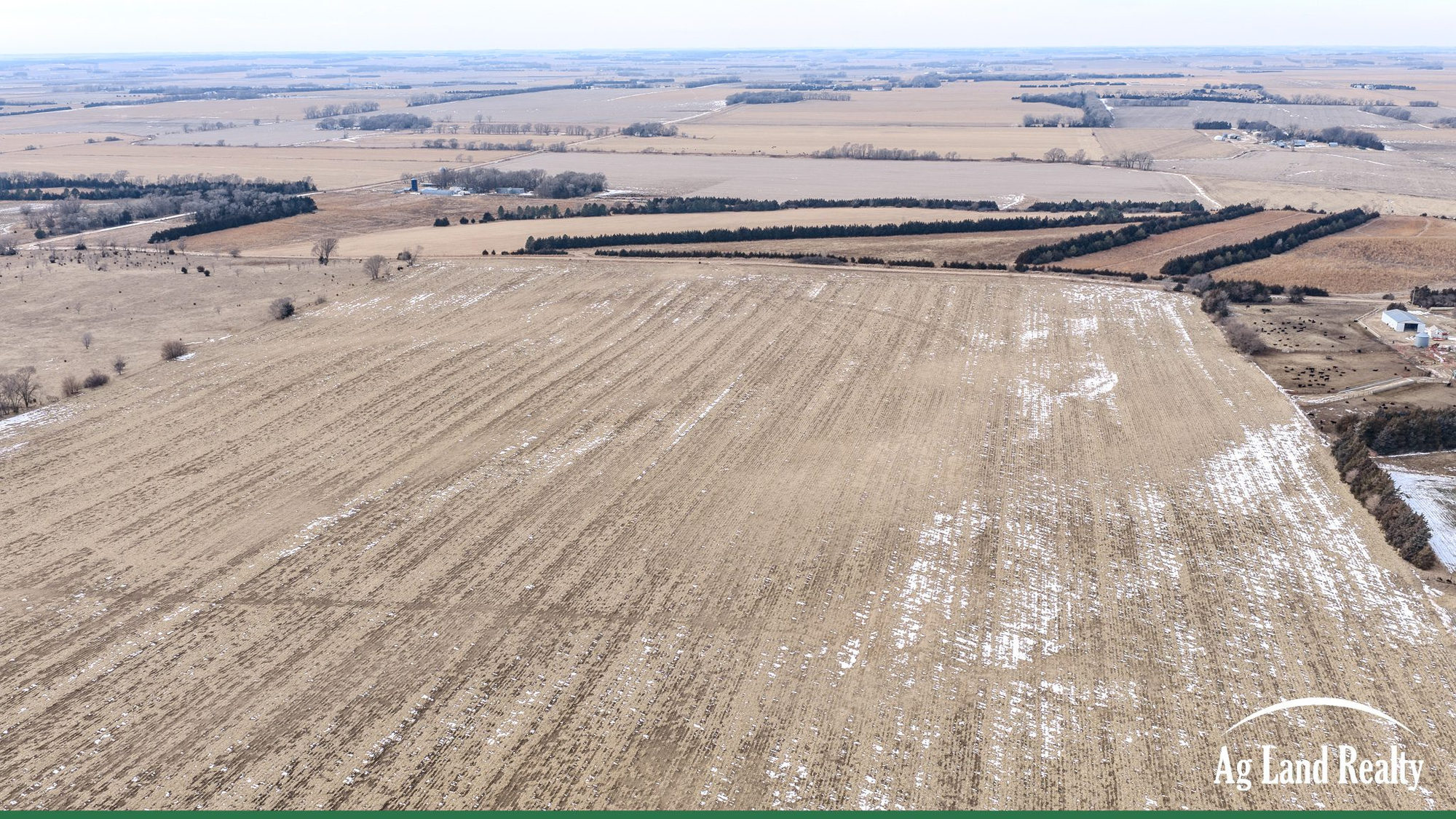 DJI_20260202135415_0014_D_result