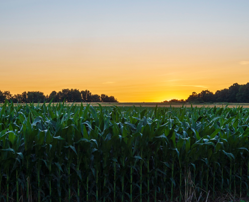 Ag Land Realty, LLC, located in Osmond, Nebraska, provides local knowledge and personal service to property owners throughout Northeast Nebraska and beyond.