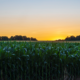 Ag Land Realty, LLC, located in Osmond, Nebraska, provides local knowledge and personal service to property owners throughout Northeast Nebraska and beyond.