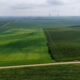 Nebraska Farmland Auction